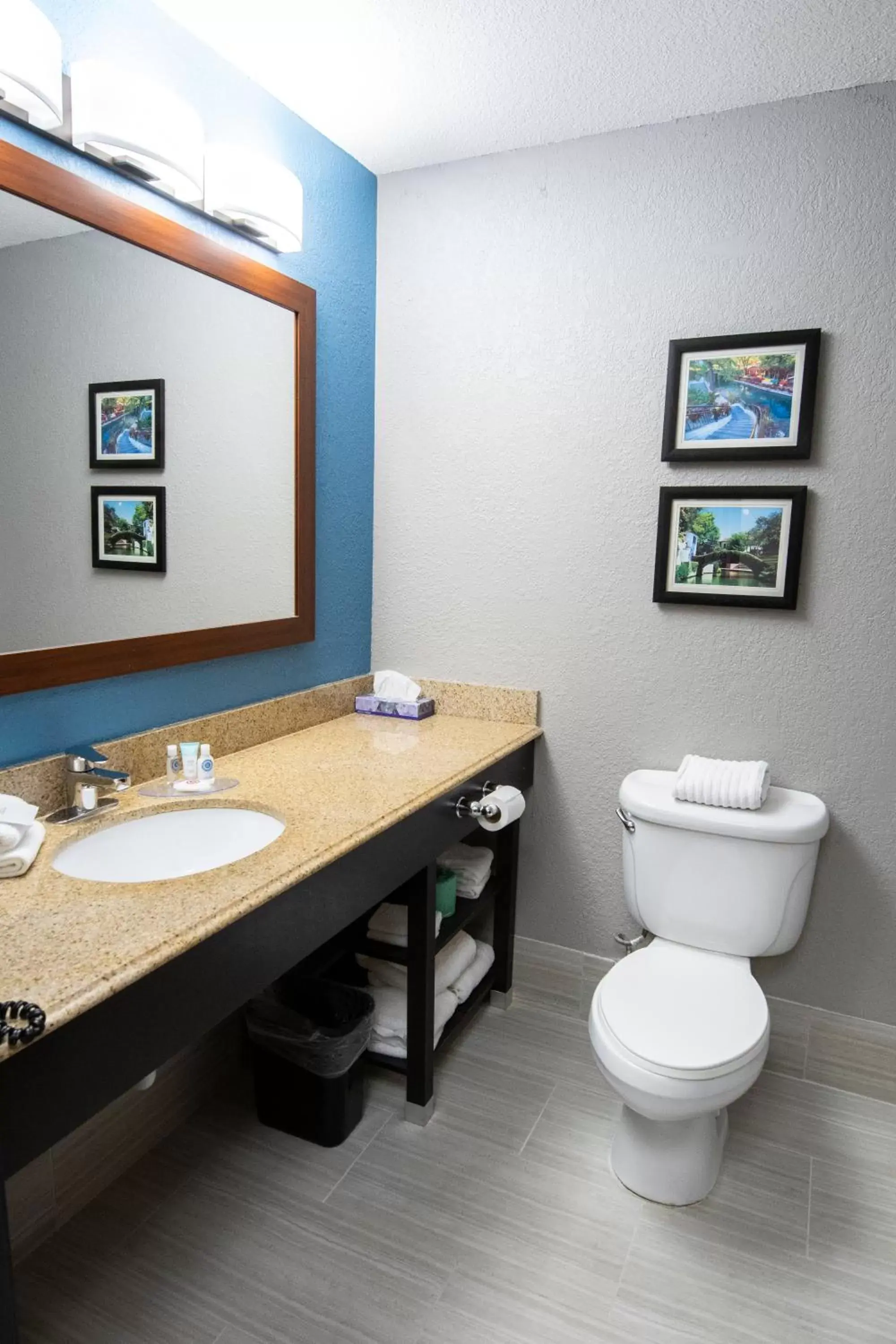 Bathroom in Comfort Inn & Suites Near Medical Center