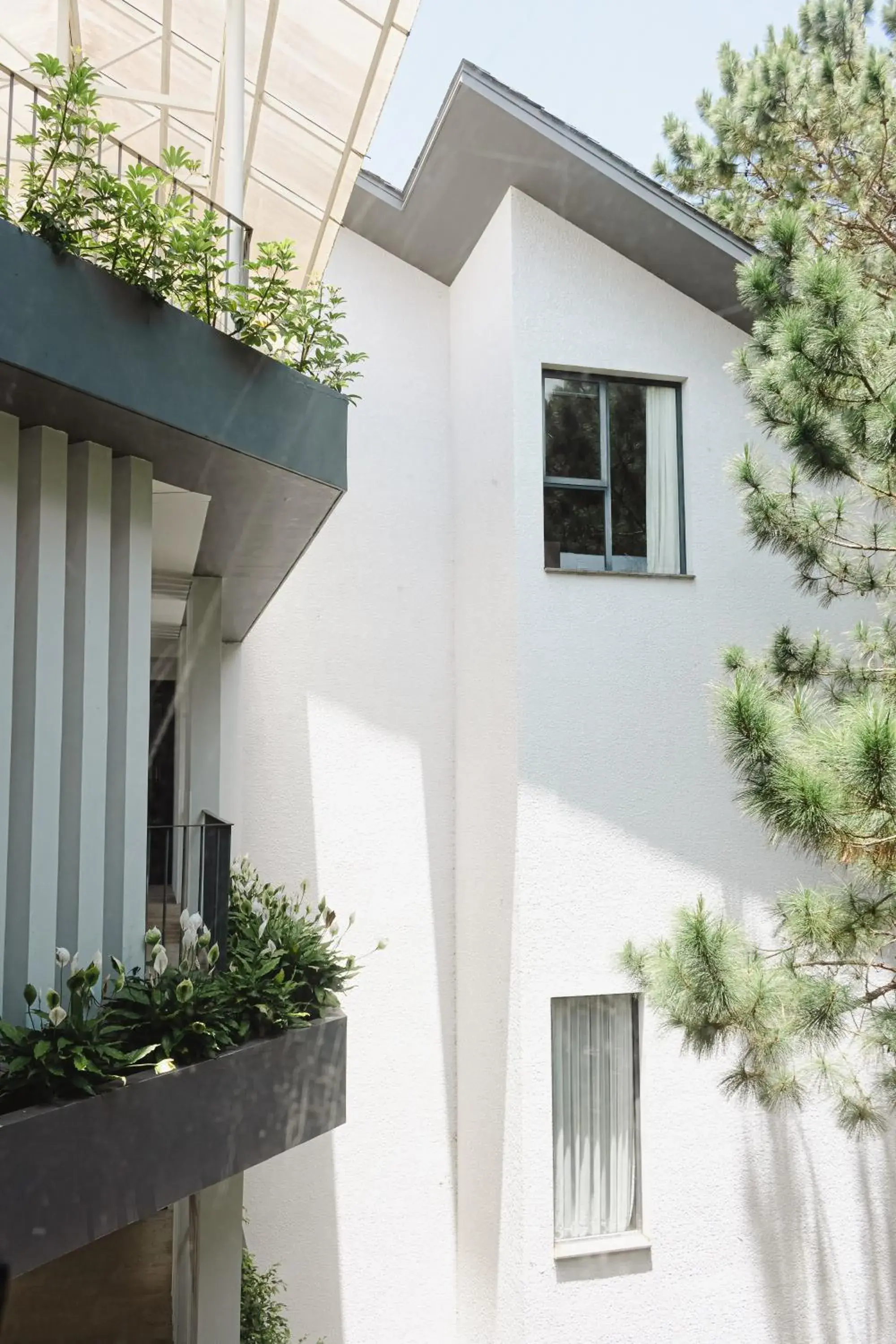 View (from property/room) in Terracotta Hotel & Resort Dalat View (from property/room) in Terracotta Hotel & Resort Dalat