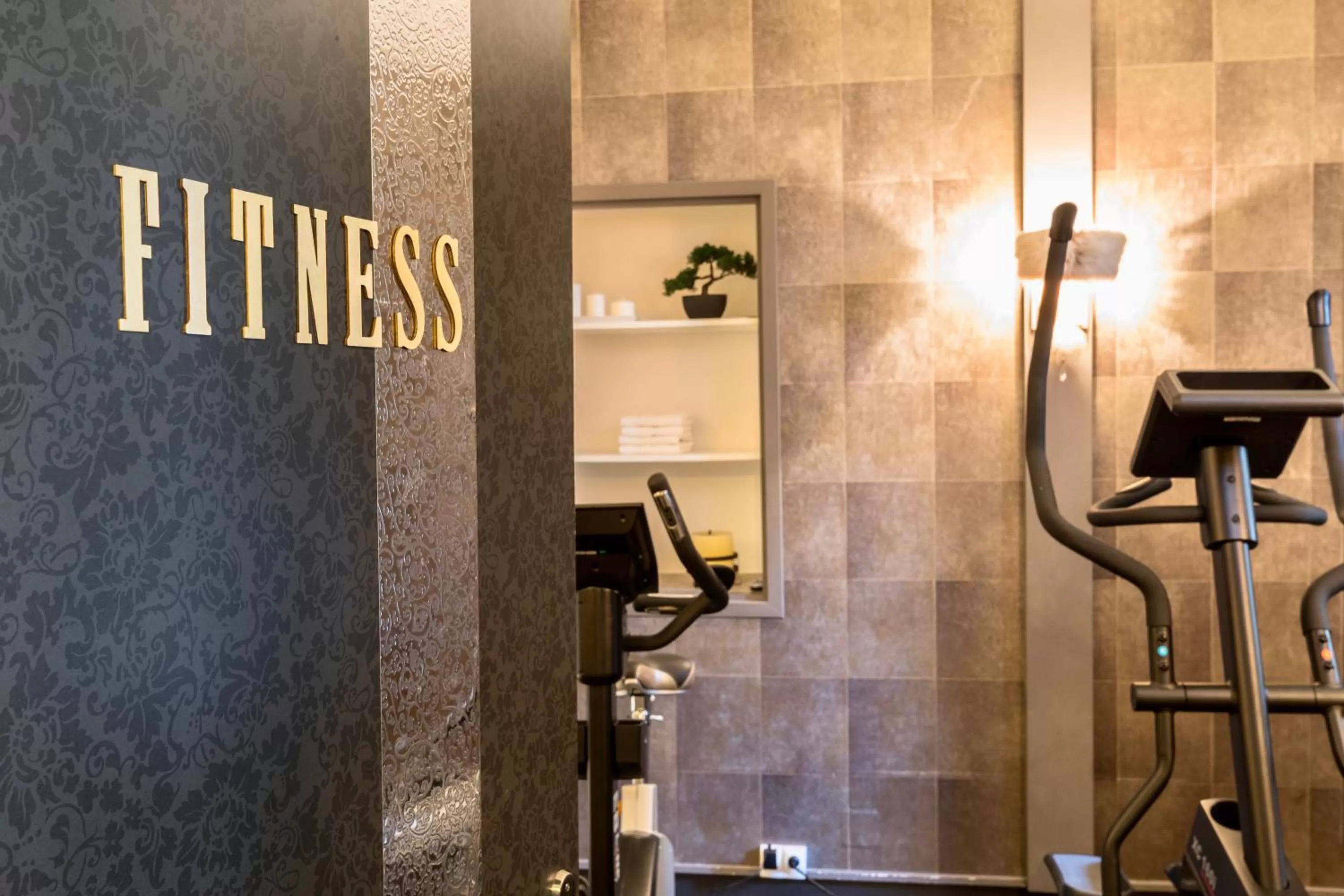 Fitness centre/facilities in Hôtel des Princes, Chambéry Centre