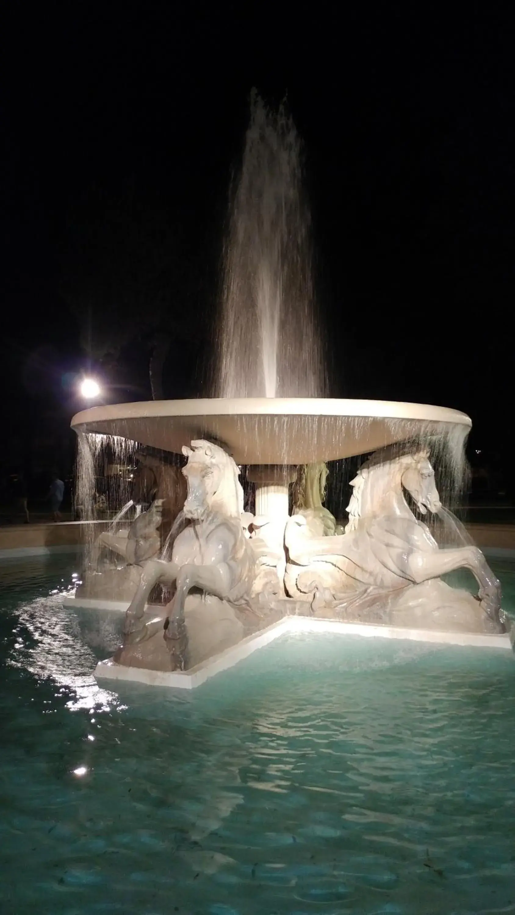 Swimming Pool in Hotel Biagini