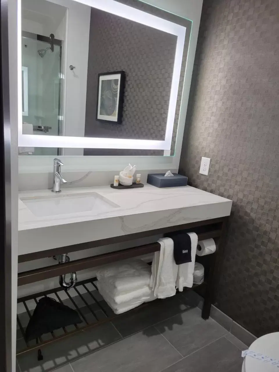Bathroom in La Quinta Inn & Suites by Wyndham Terrell