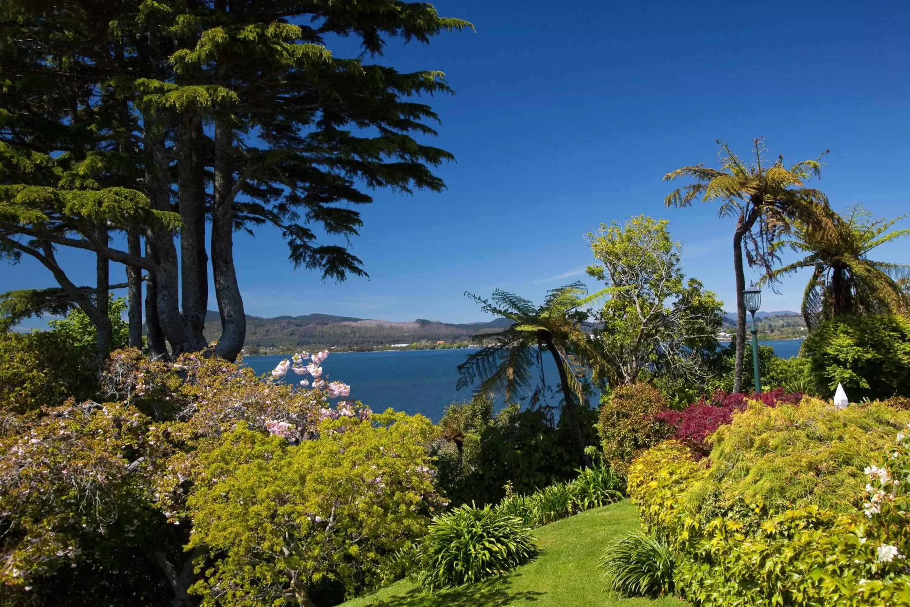 Garden in On The Point - Lake Rotorua