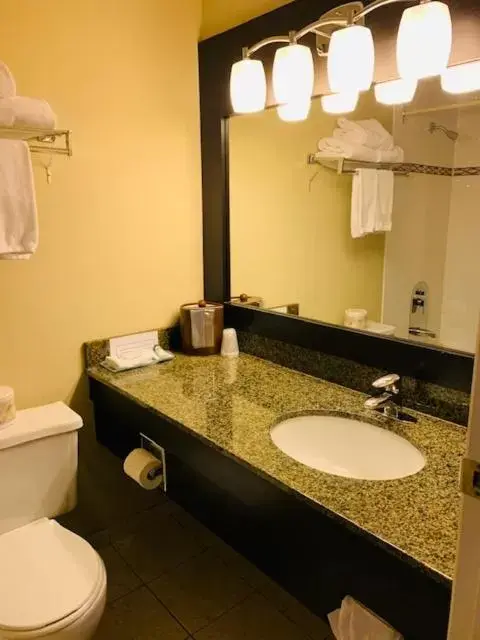 Bathroom in Anchor Inn and Suites