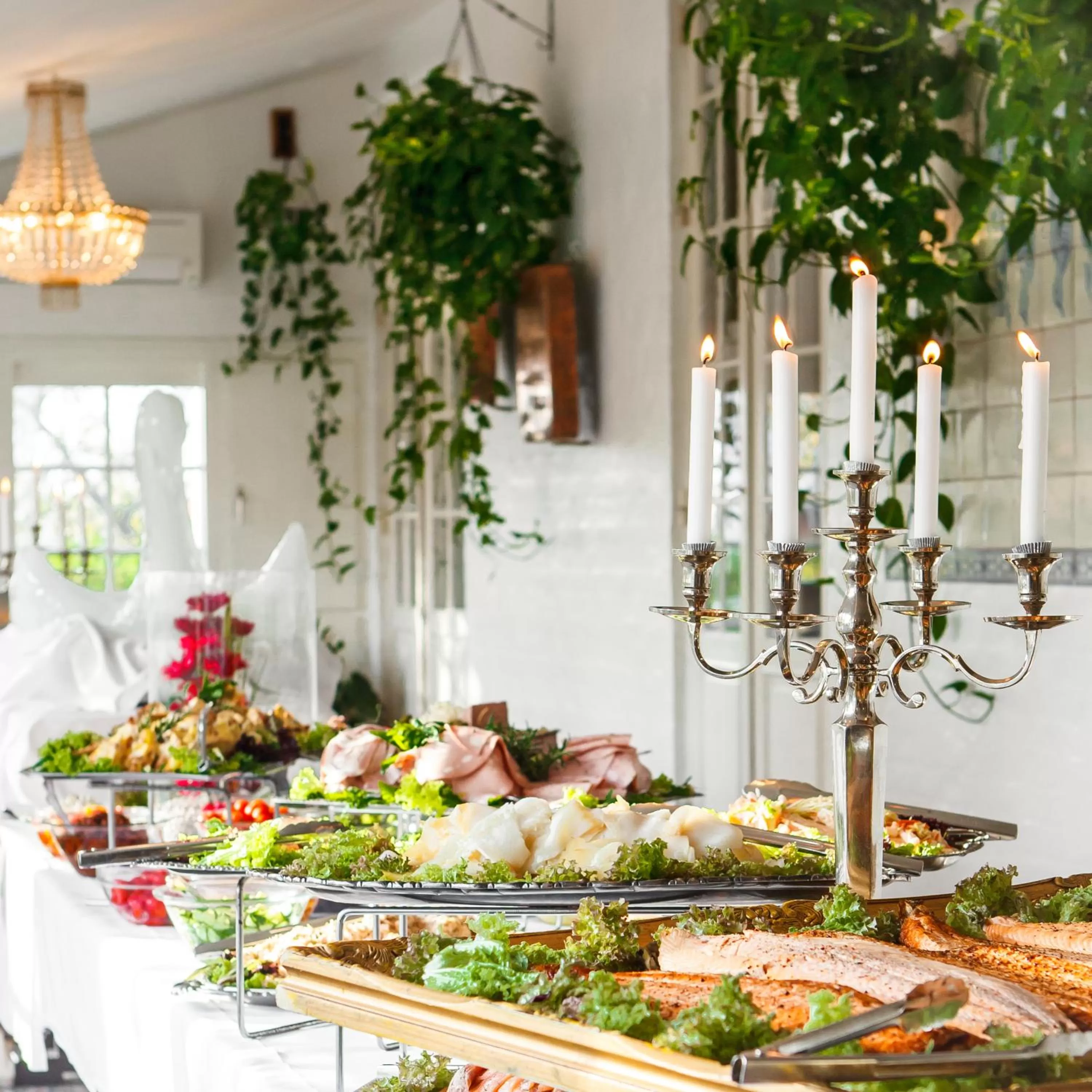 Restaurant/places to eat in Hotel Kirstine