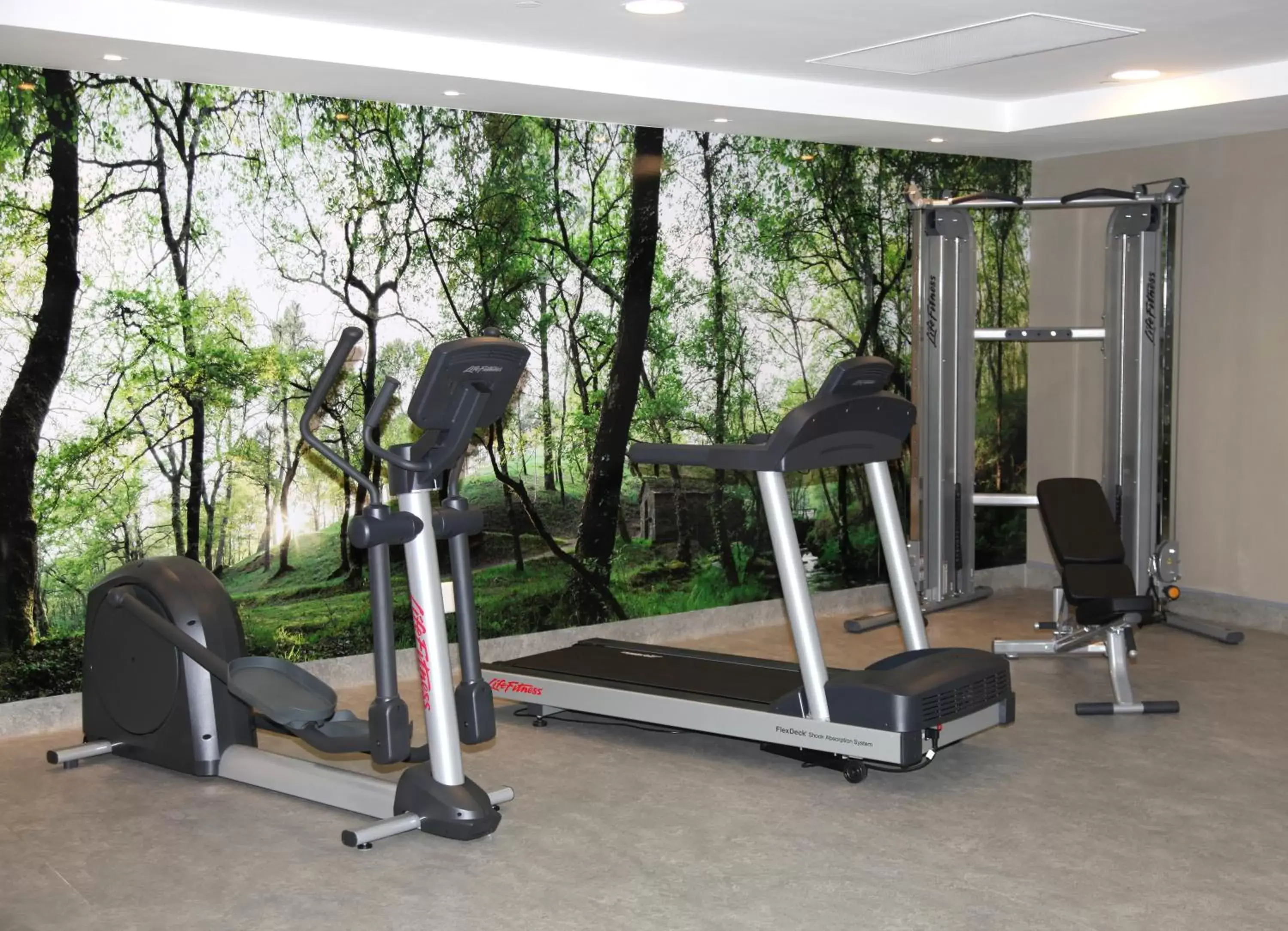 Fitness centre/facilities, Fitness Center/Facilities in Hotel Gelmírez