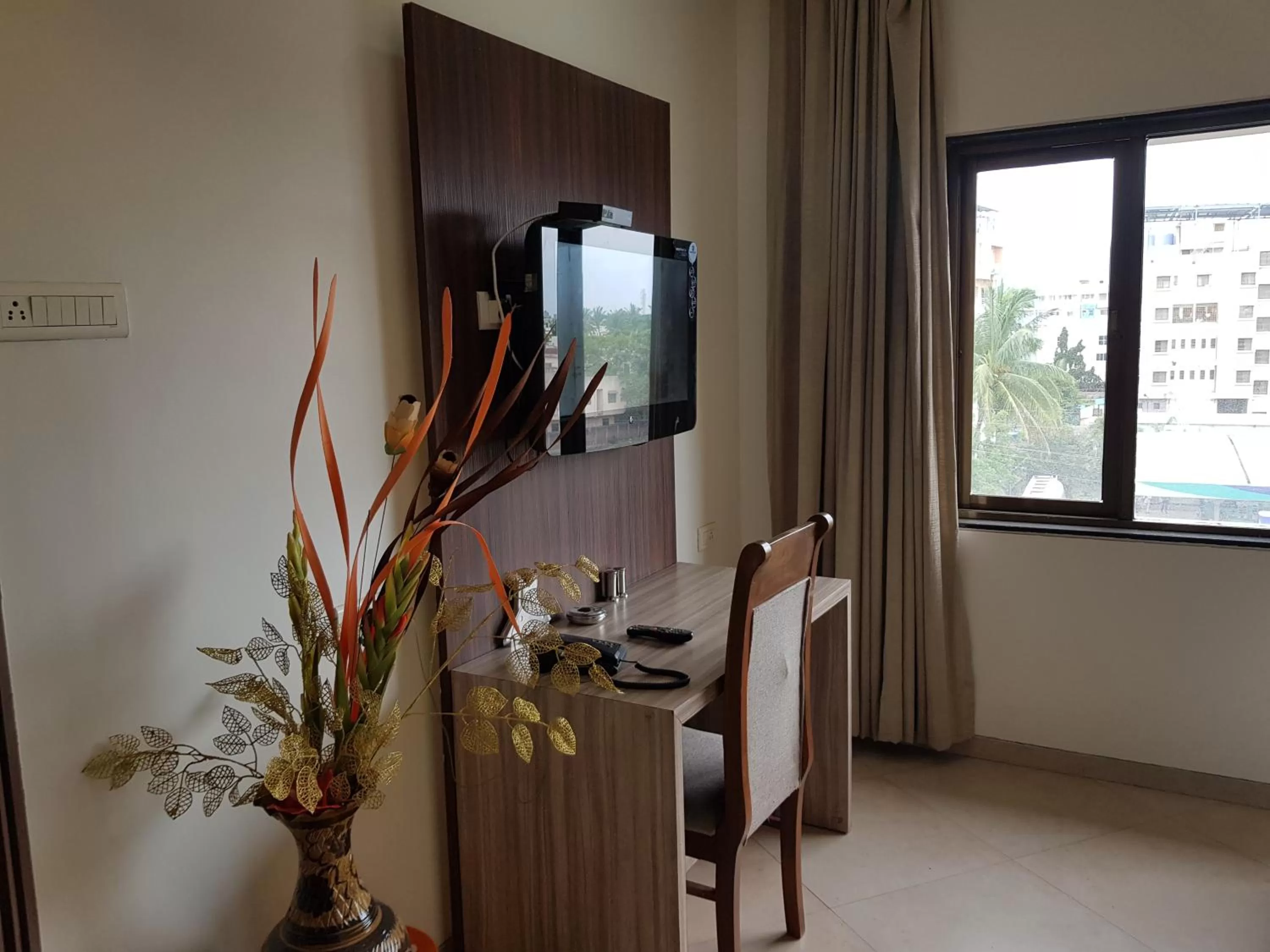 TV and multimedia in Hotel Udayanraje Palace