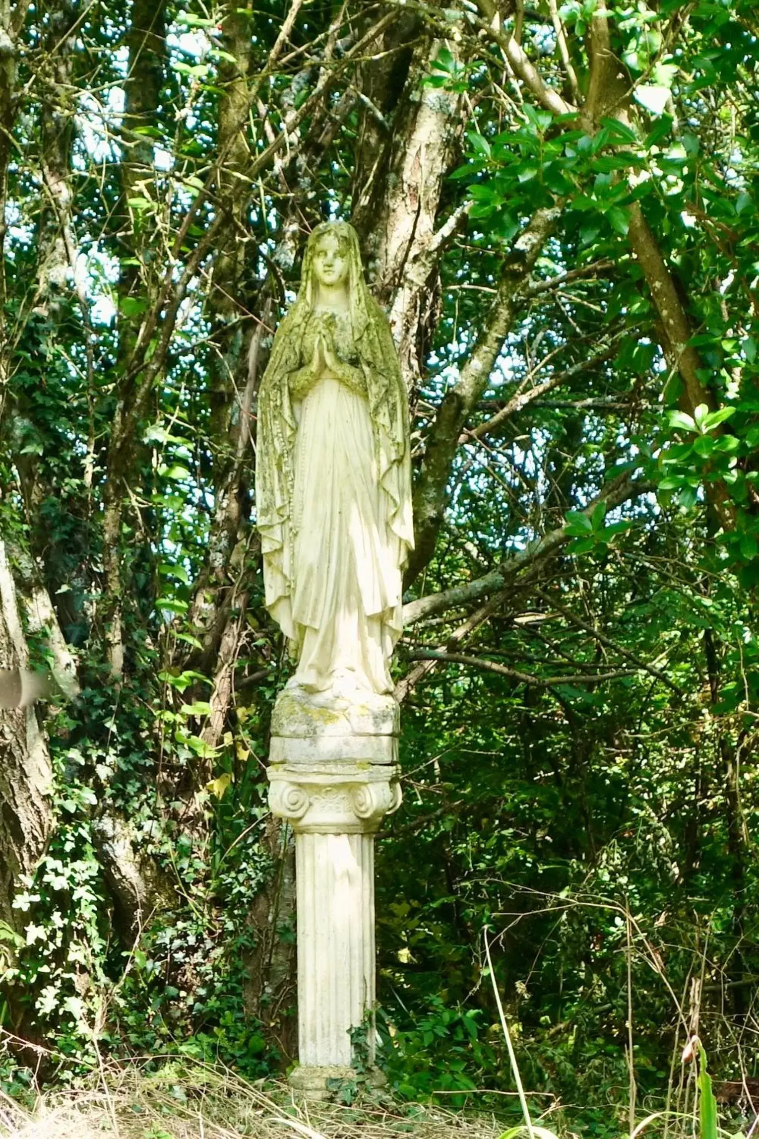 Garden in Domaine de Rasigous