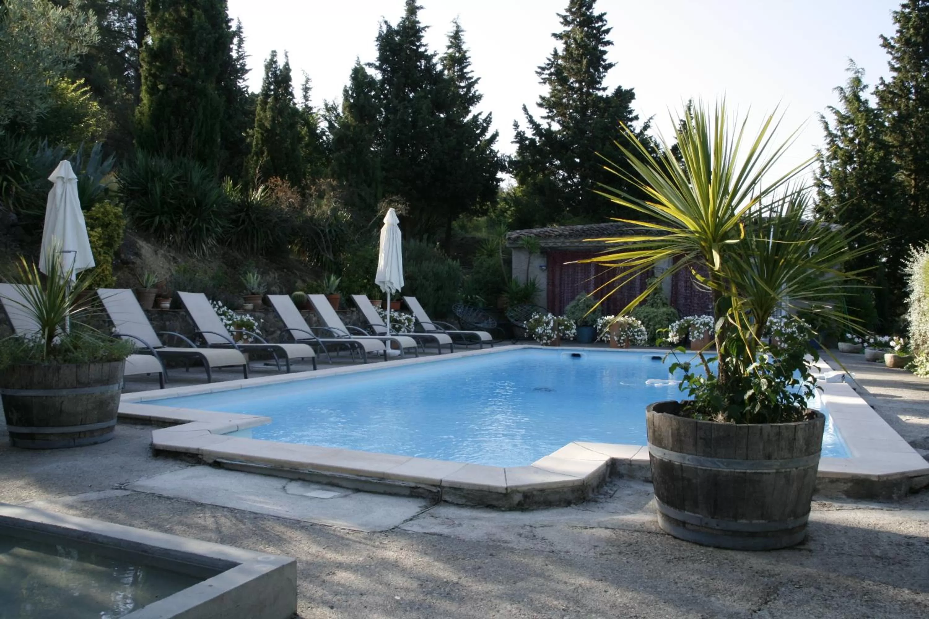 Swimming Pool in La Maison sur la Colline