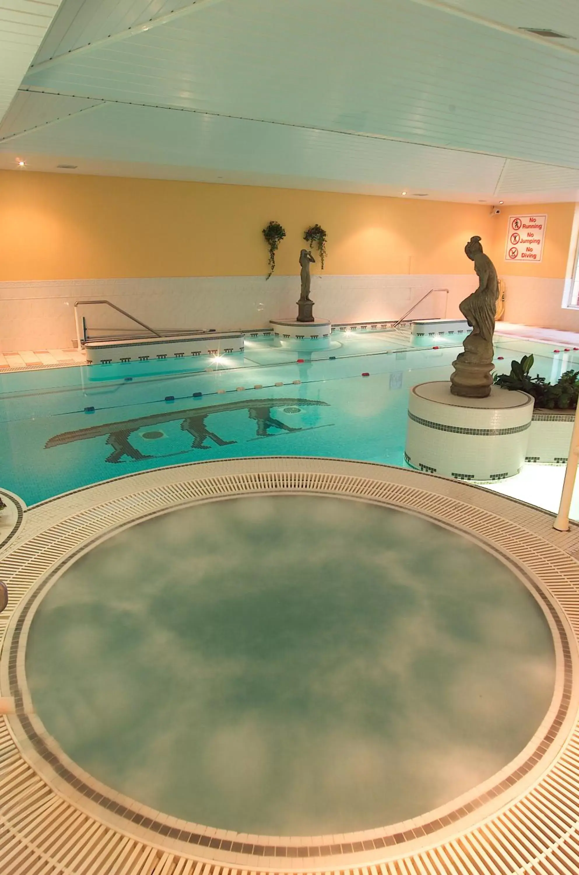 Spa and wellness centre/facilities, Swimming Pool in Dingle Skellig Hotel