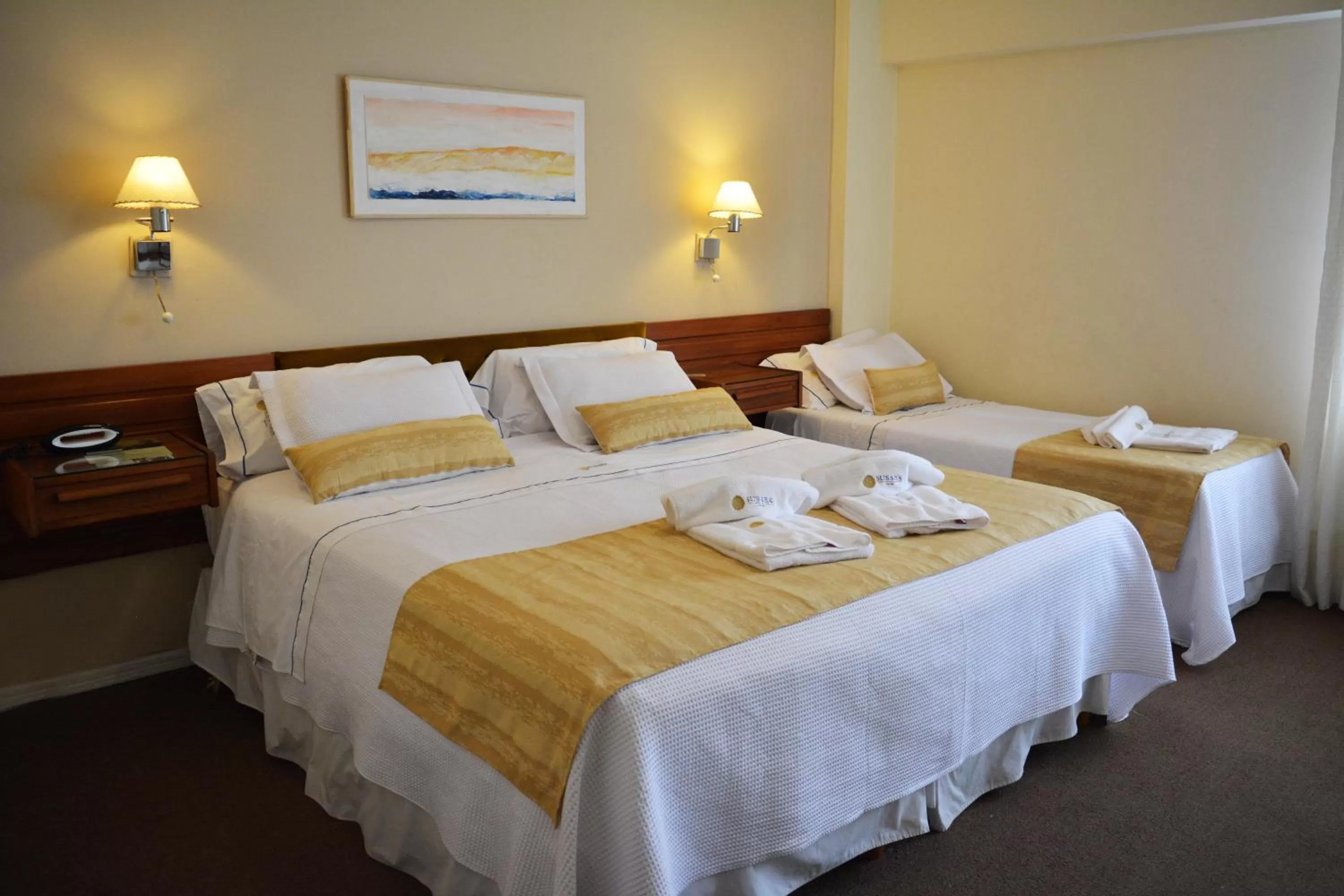 Toilet, Bed in Hotel Sussex