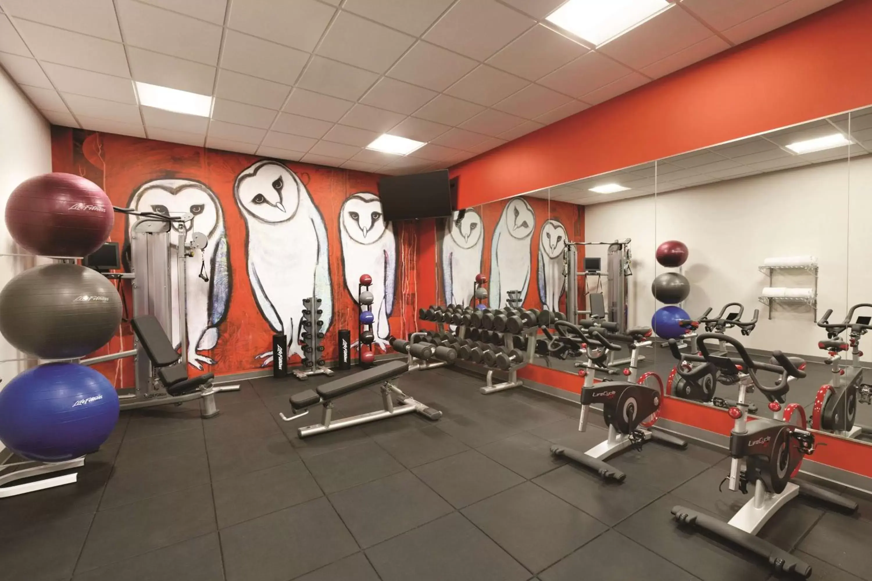 Activities, Fitness Center/Facilities in Radisson Red Minneapolis Downtown