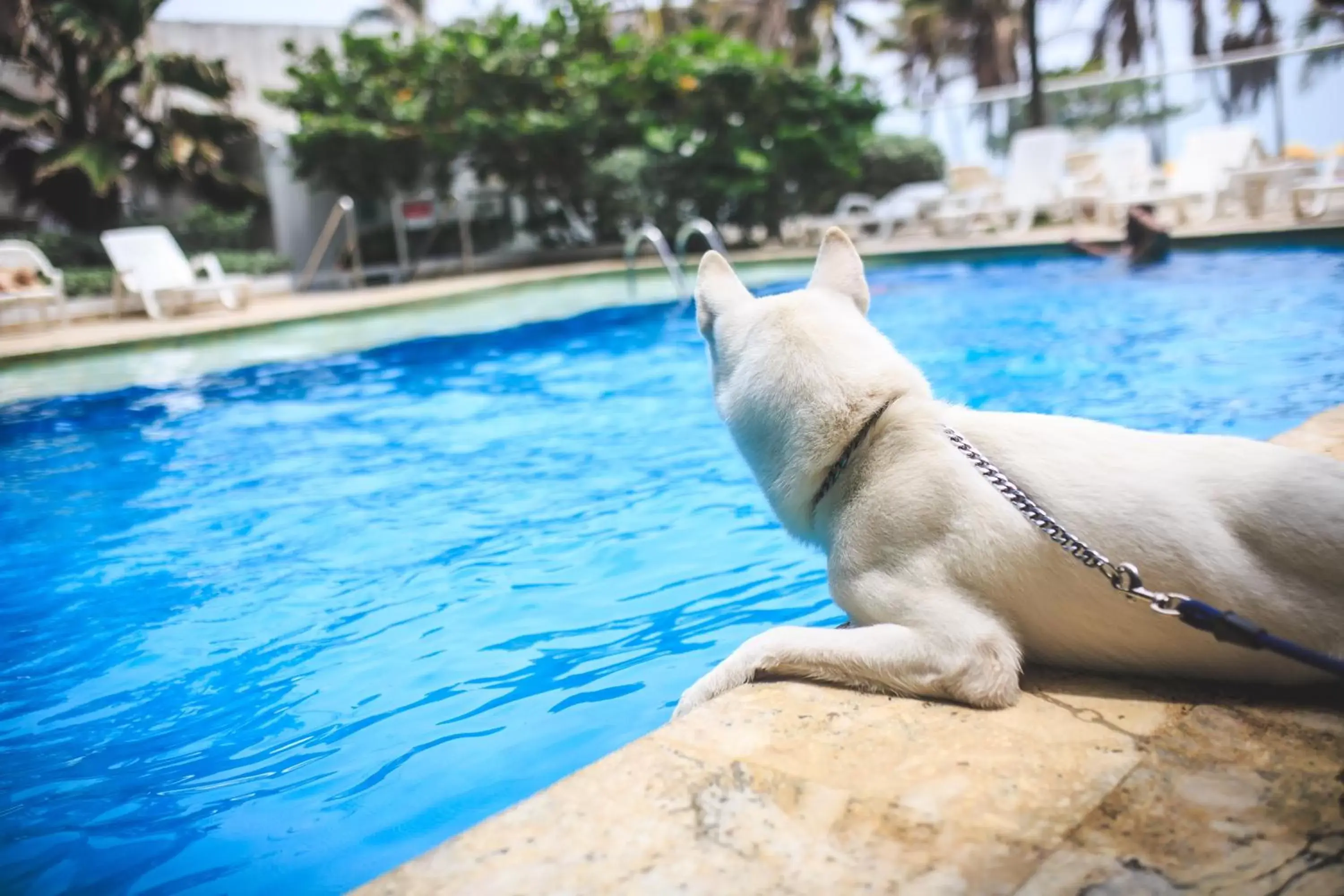 Swimming Pool in Hotel Playa Club