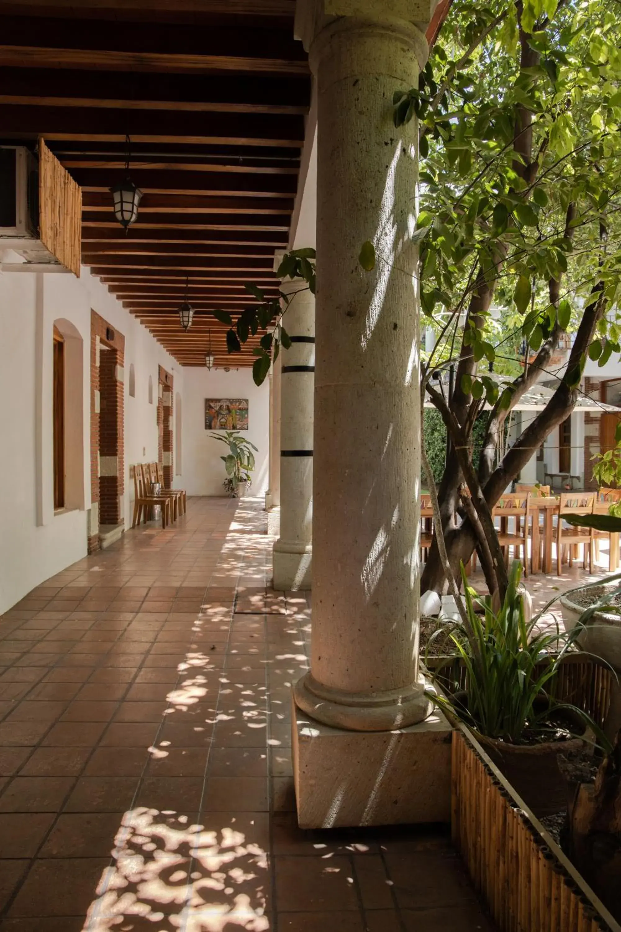 Patio in NaNa Vida Hotel Oaxaca