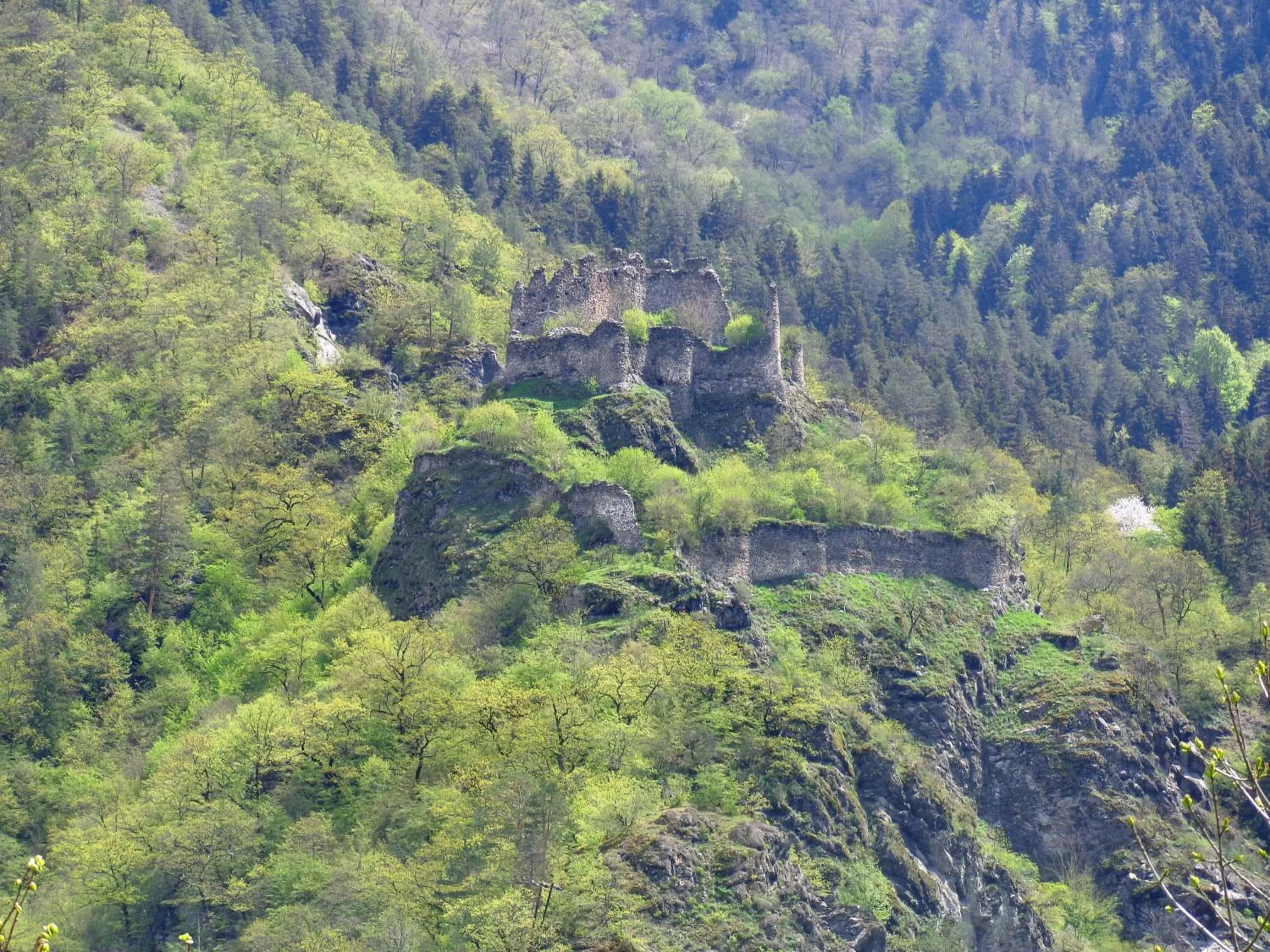View (from property/room) in Borjomi Likani Health & Spa Centre