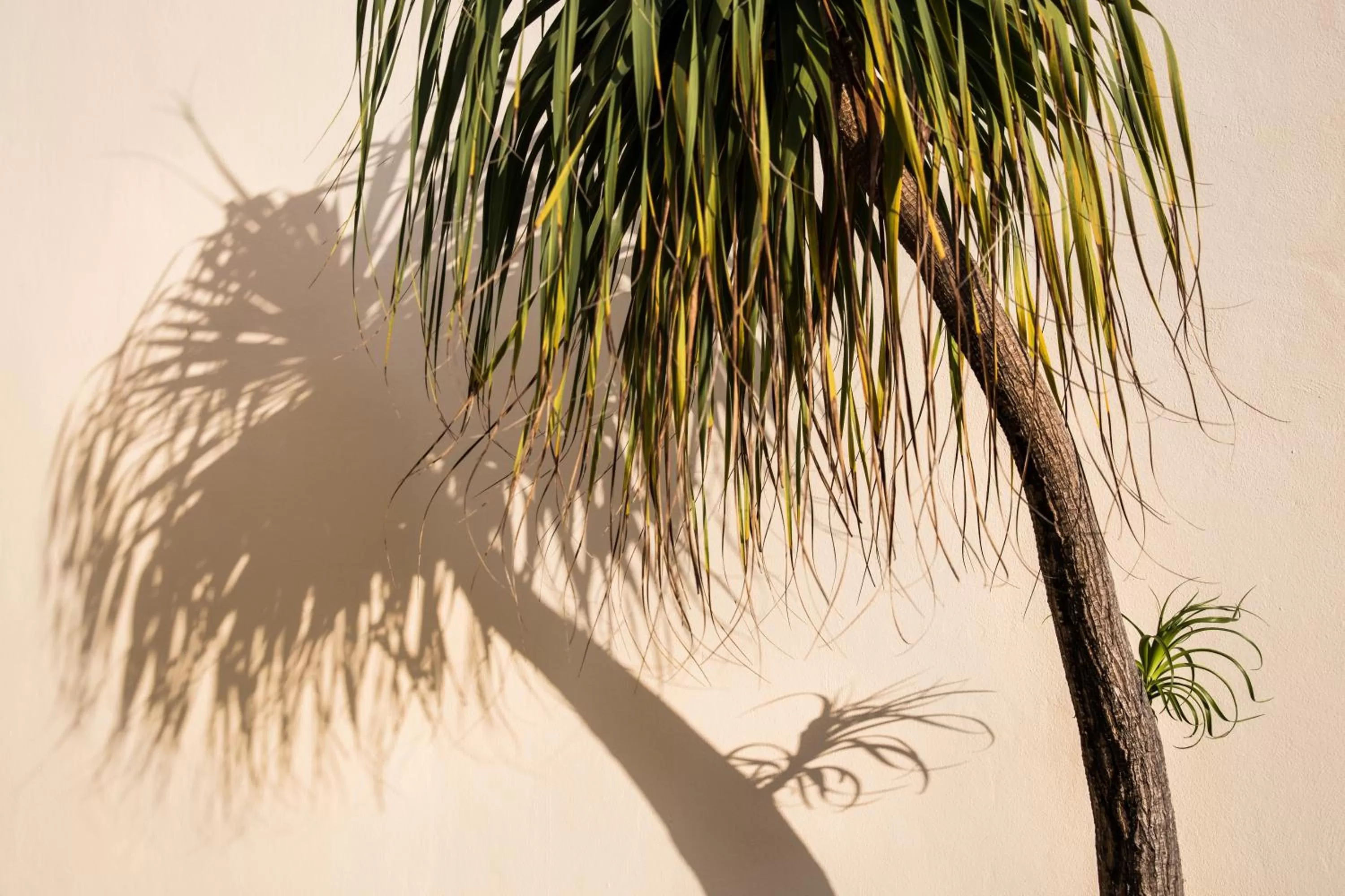 Decorative detail in Villas H2O