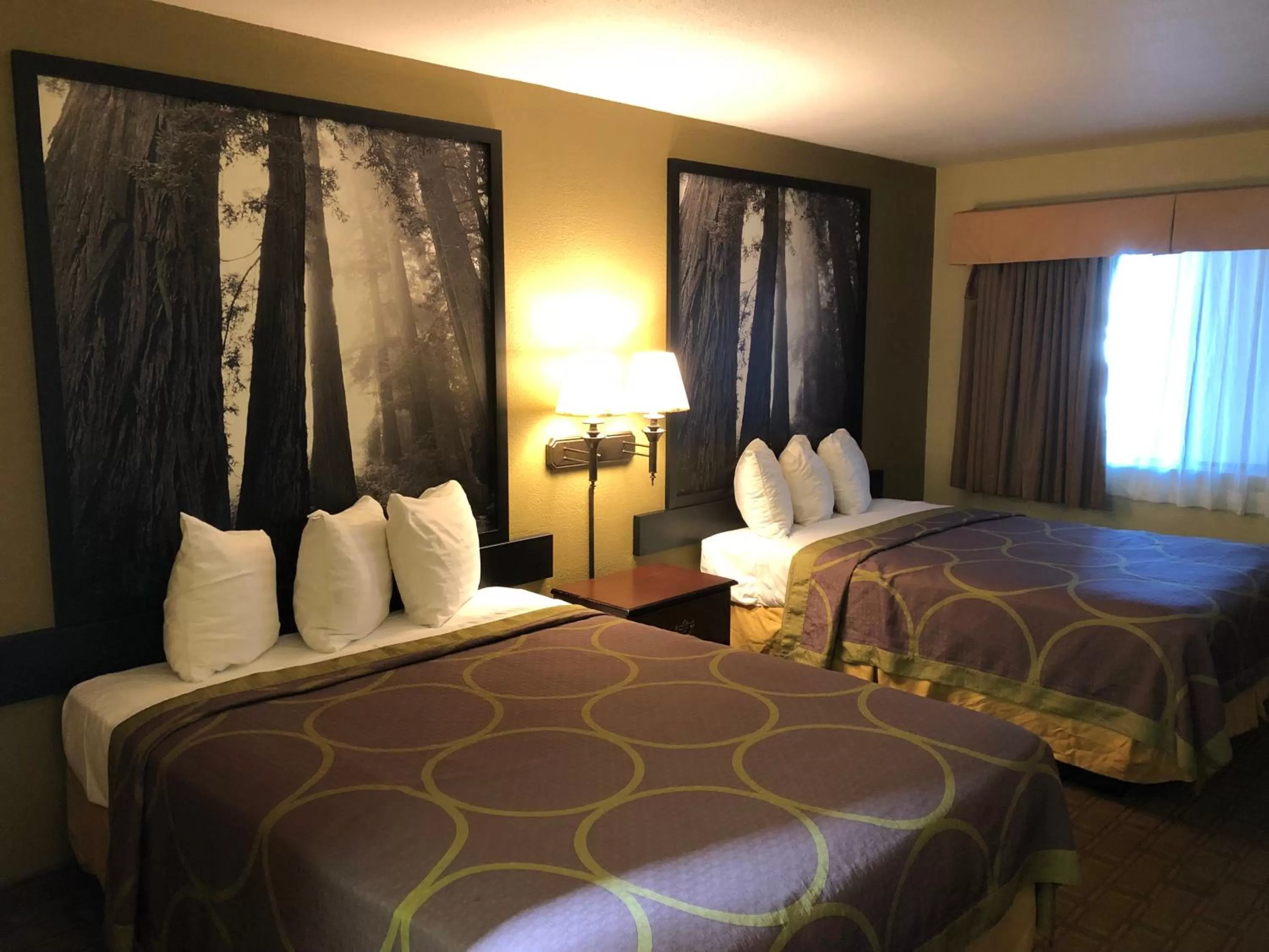 Bed in Super 8 by Wyndham Corning