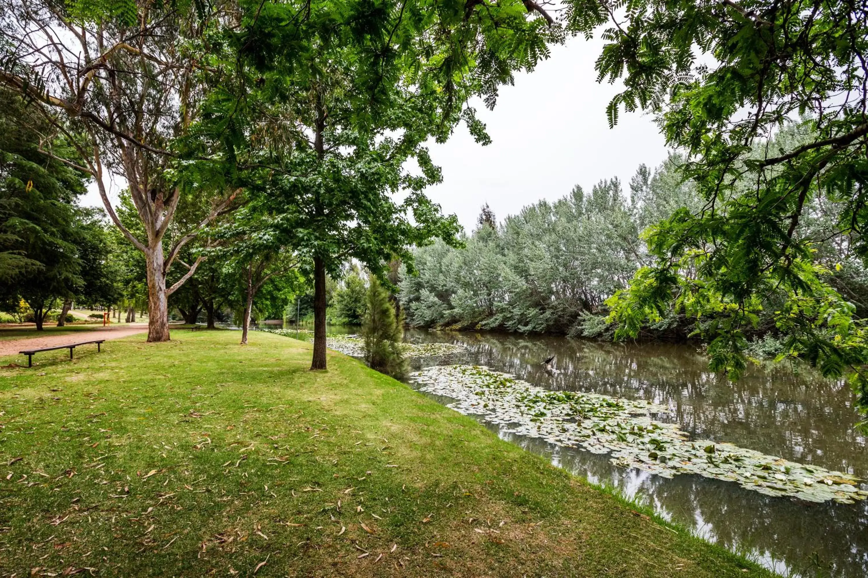 Neighbourhood, Garden in Soldiers Motel