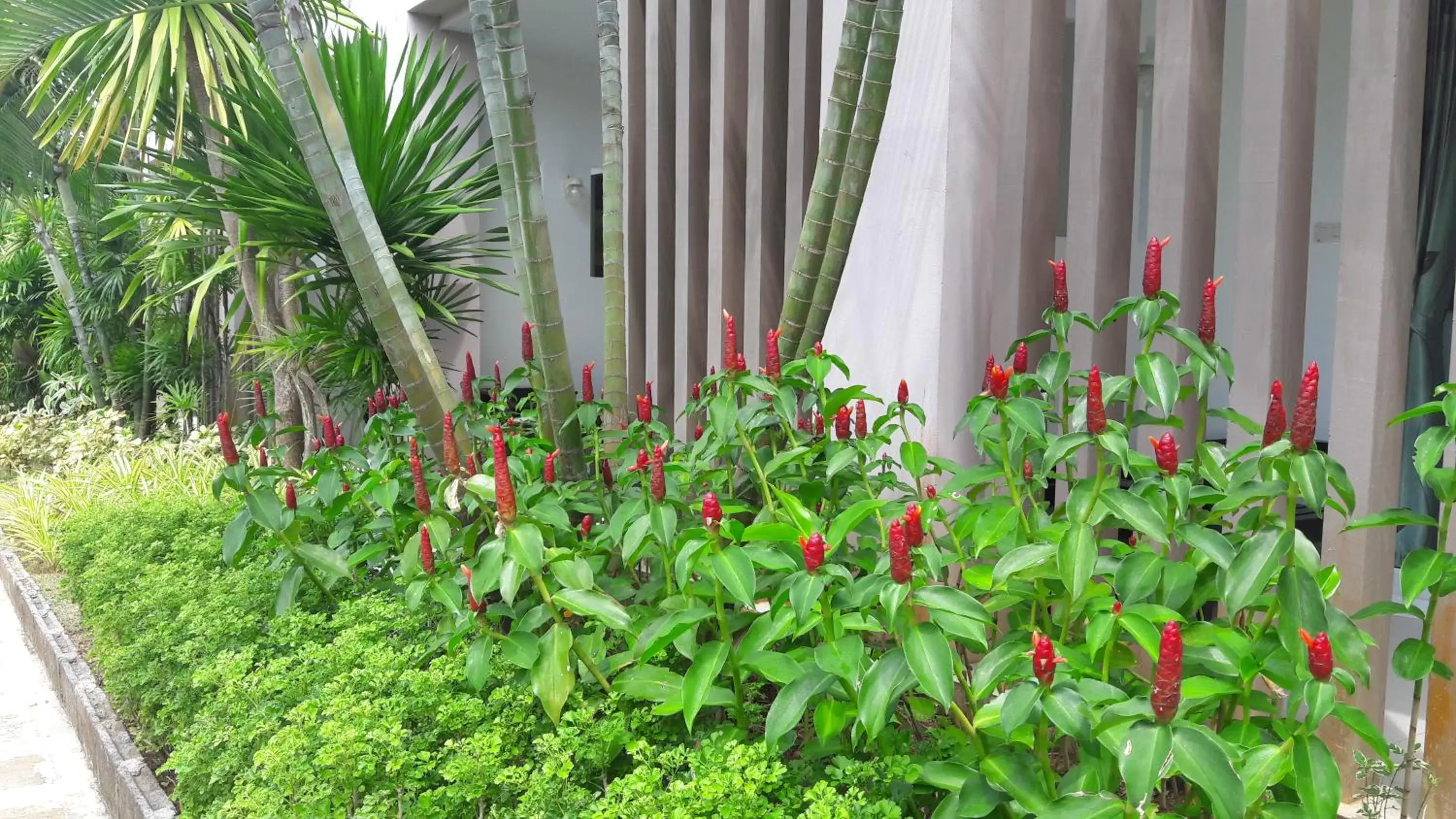 Garden in The Fong Krabi resort