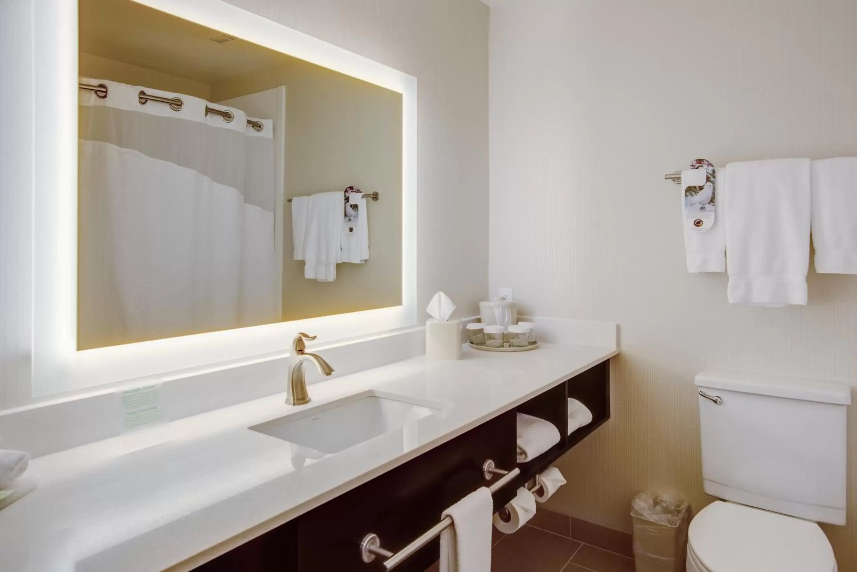 Bathroom in Holiday Inn Express Bellingham, an IHG Hotel
