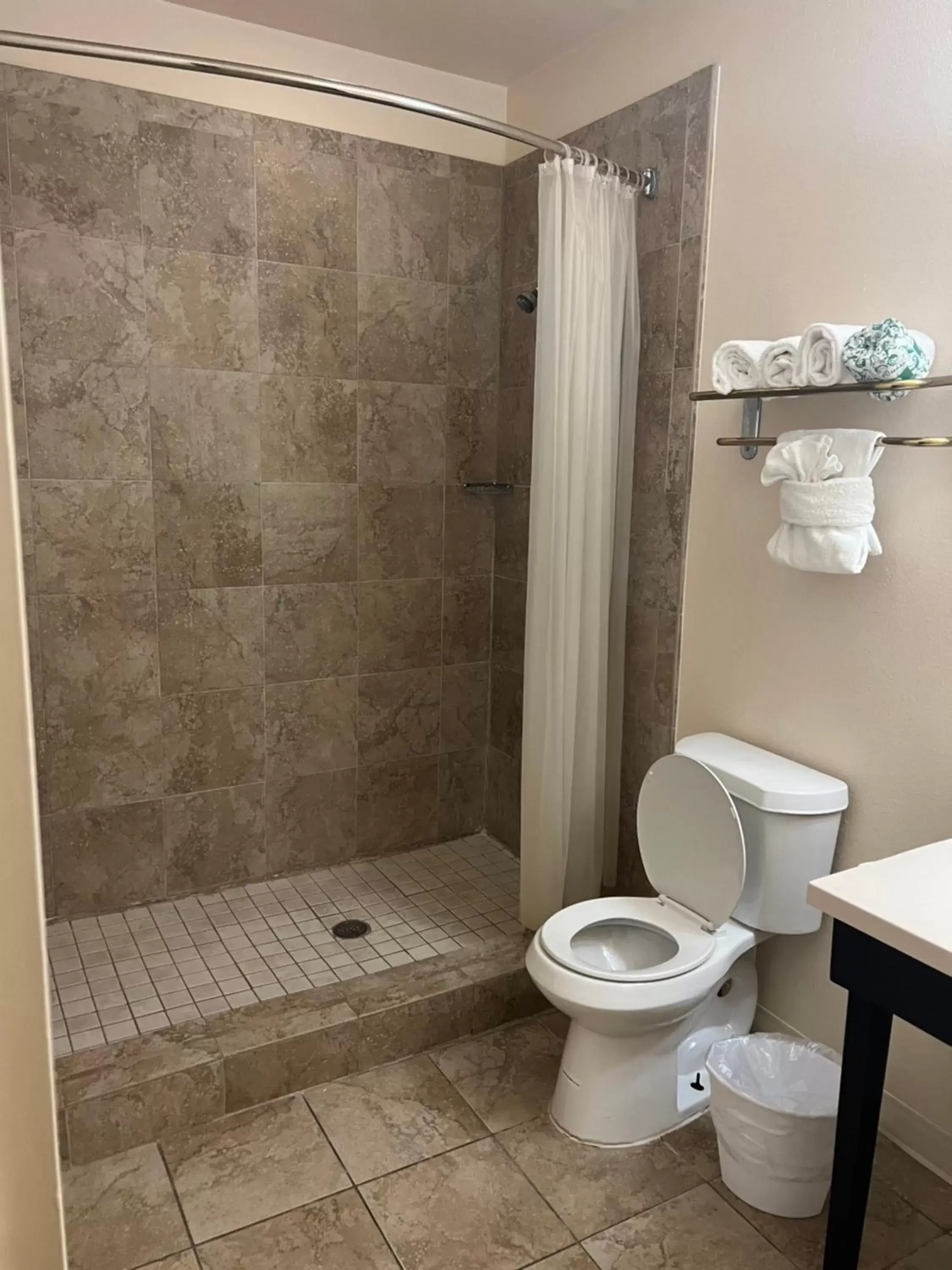 Bathroom in Sunchase Inn & Suites