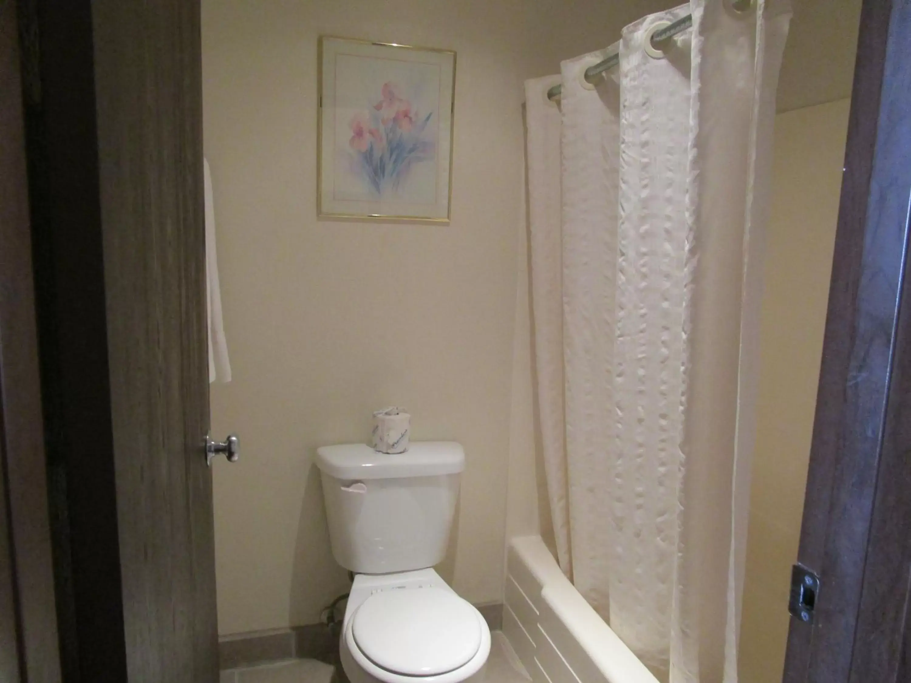 Toilet, Bathroom in Northwoods Motel