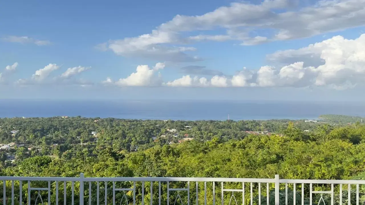 Natural landscape in Jamnick Vacation Rentals - Richmond, St Ann, Jamaica