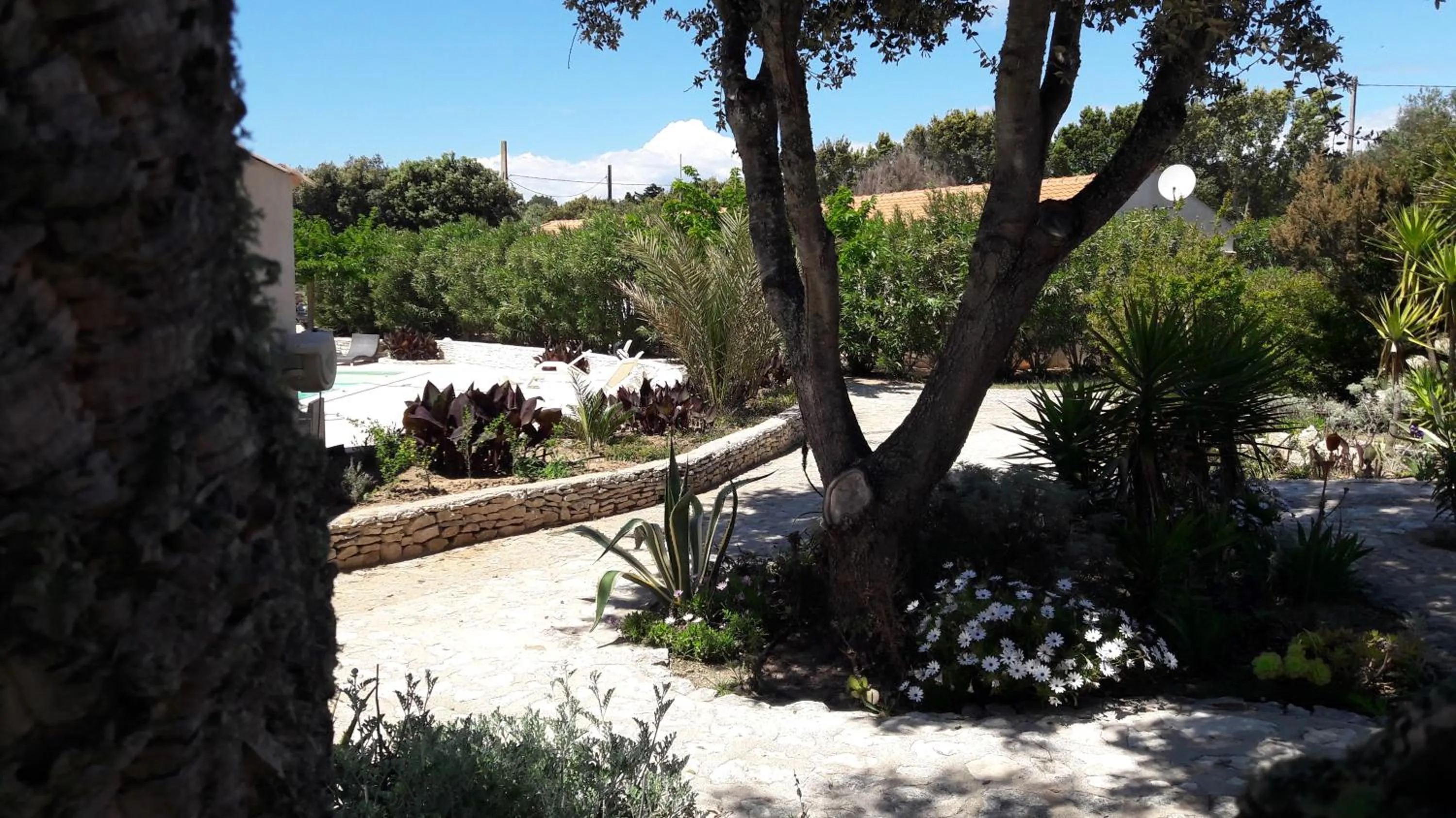 Garden view in Hôtel Padolo