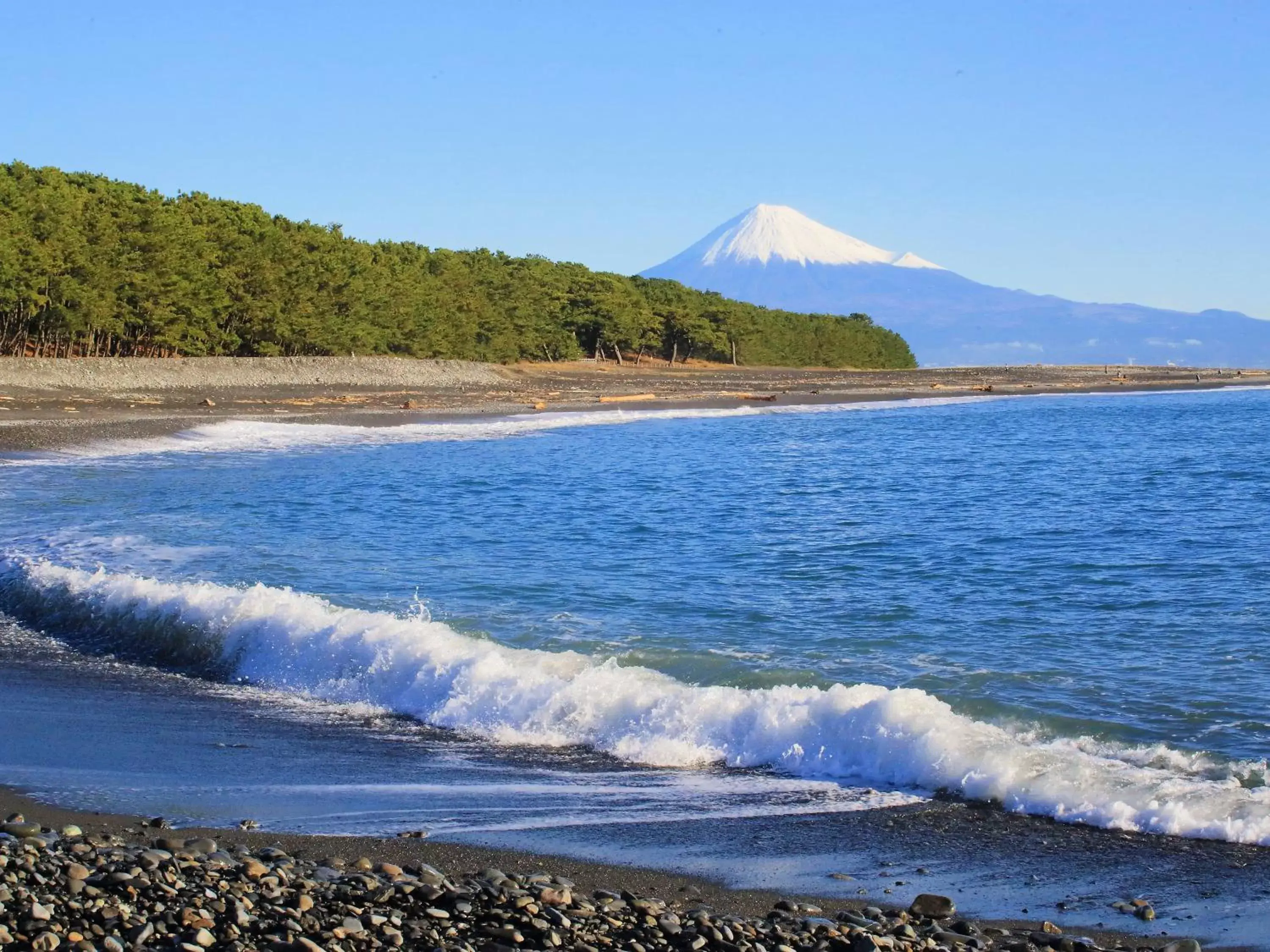 Nearby landmark in Hotel Associa Shizuoka