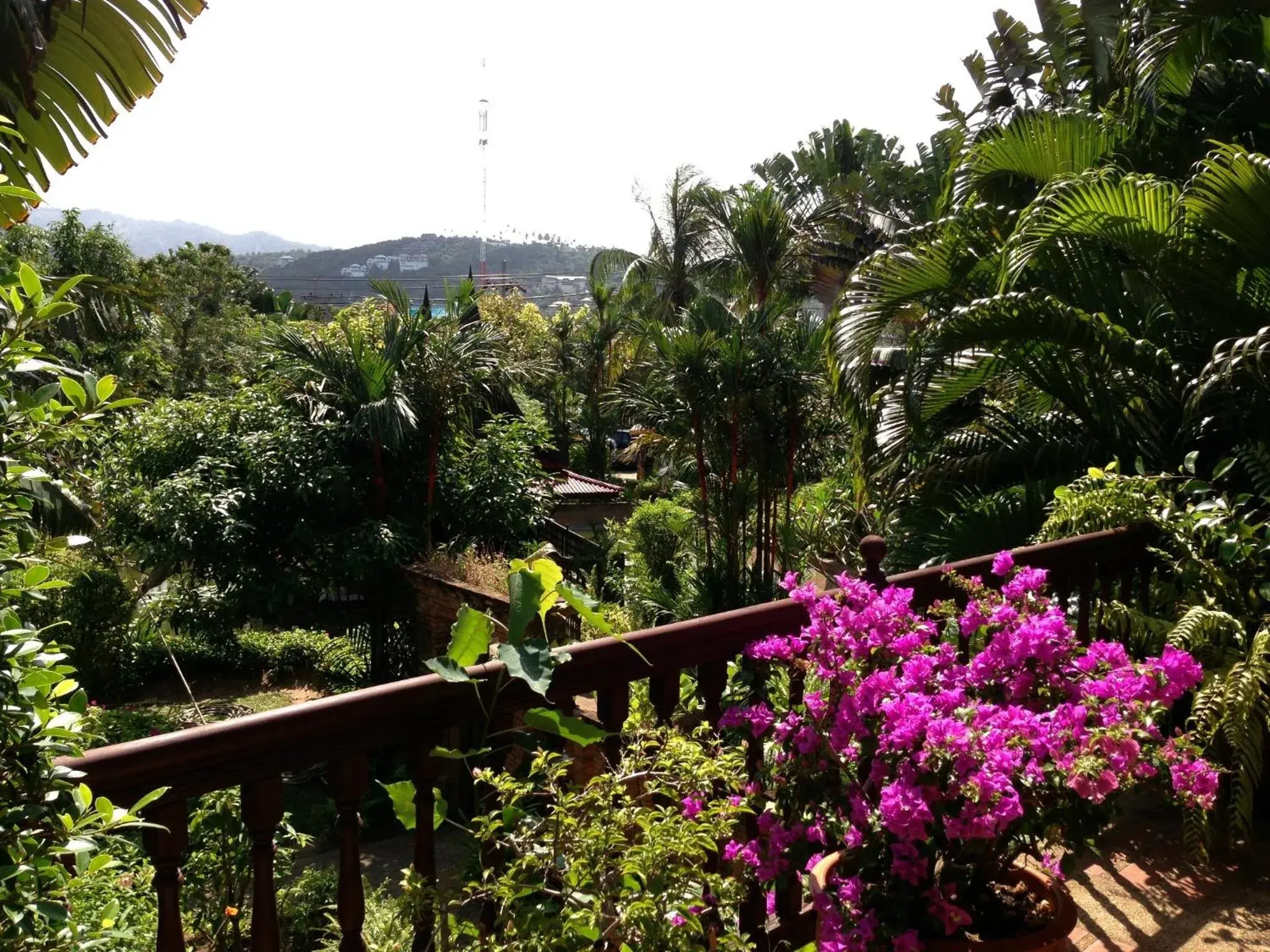 Garden in Ban Keaw Villas