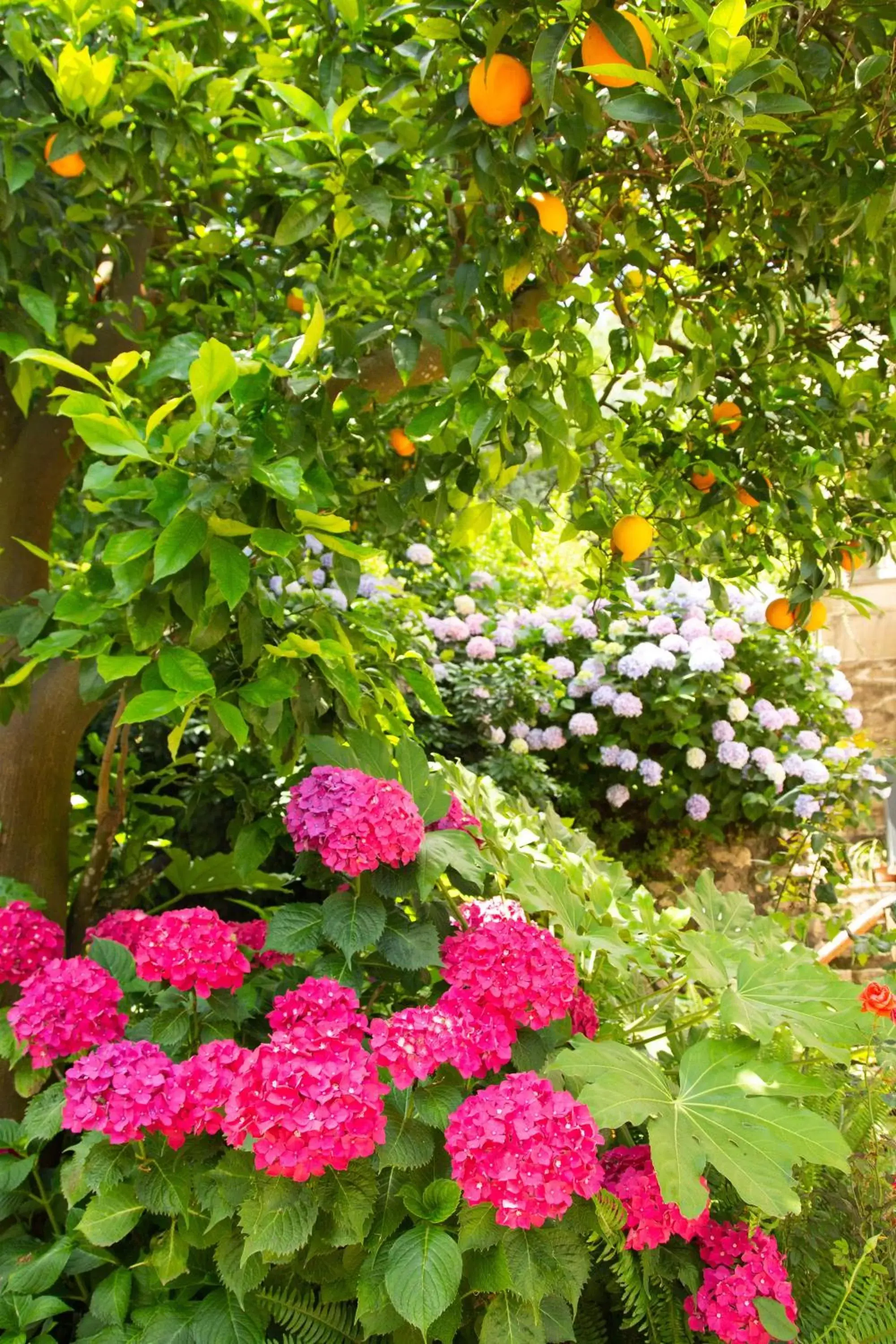 Garden in Agriturismo b&b L arancio In fiore