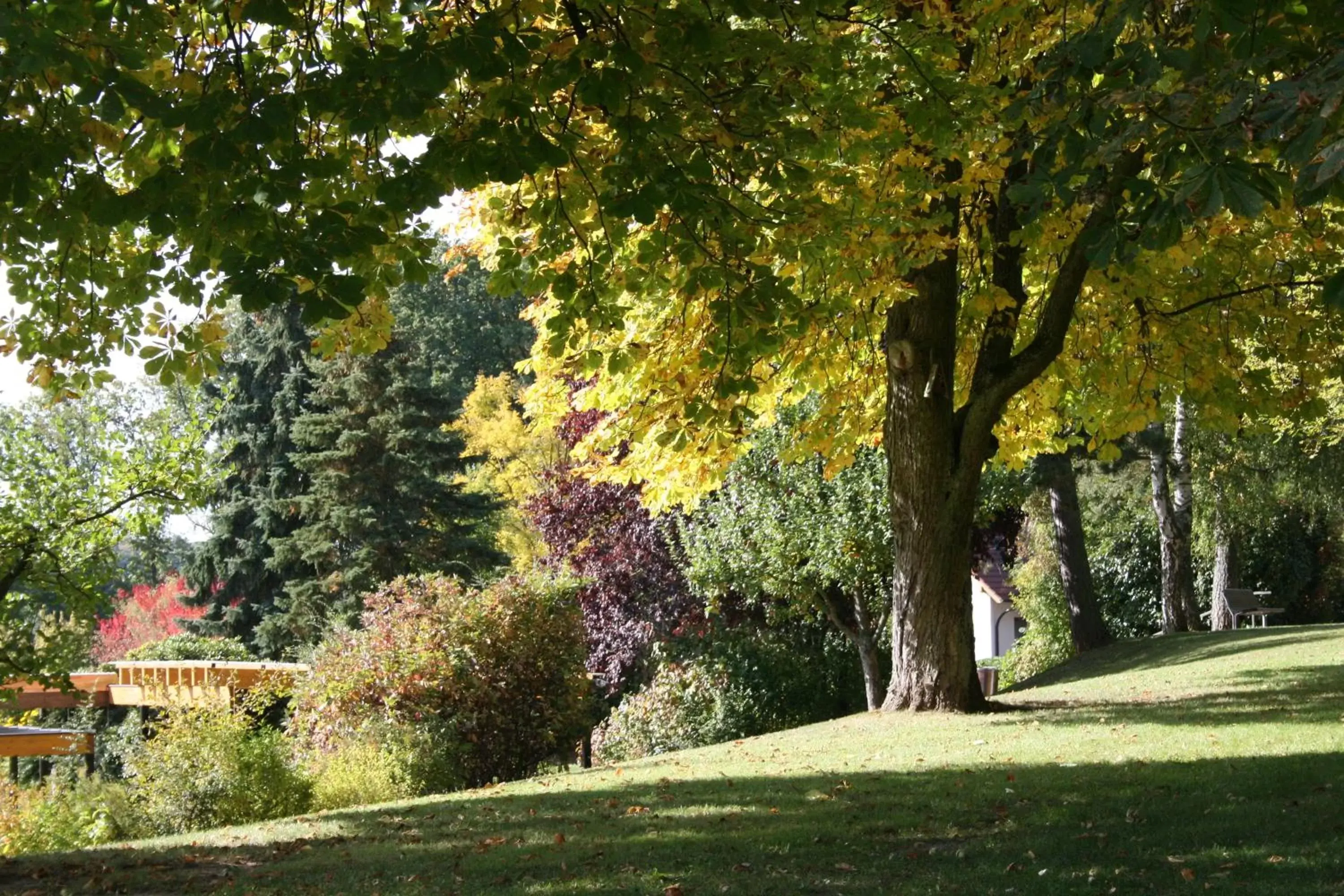 Garden in Seniorenresidenz Parkwohnstift Bad Kissingen