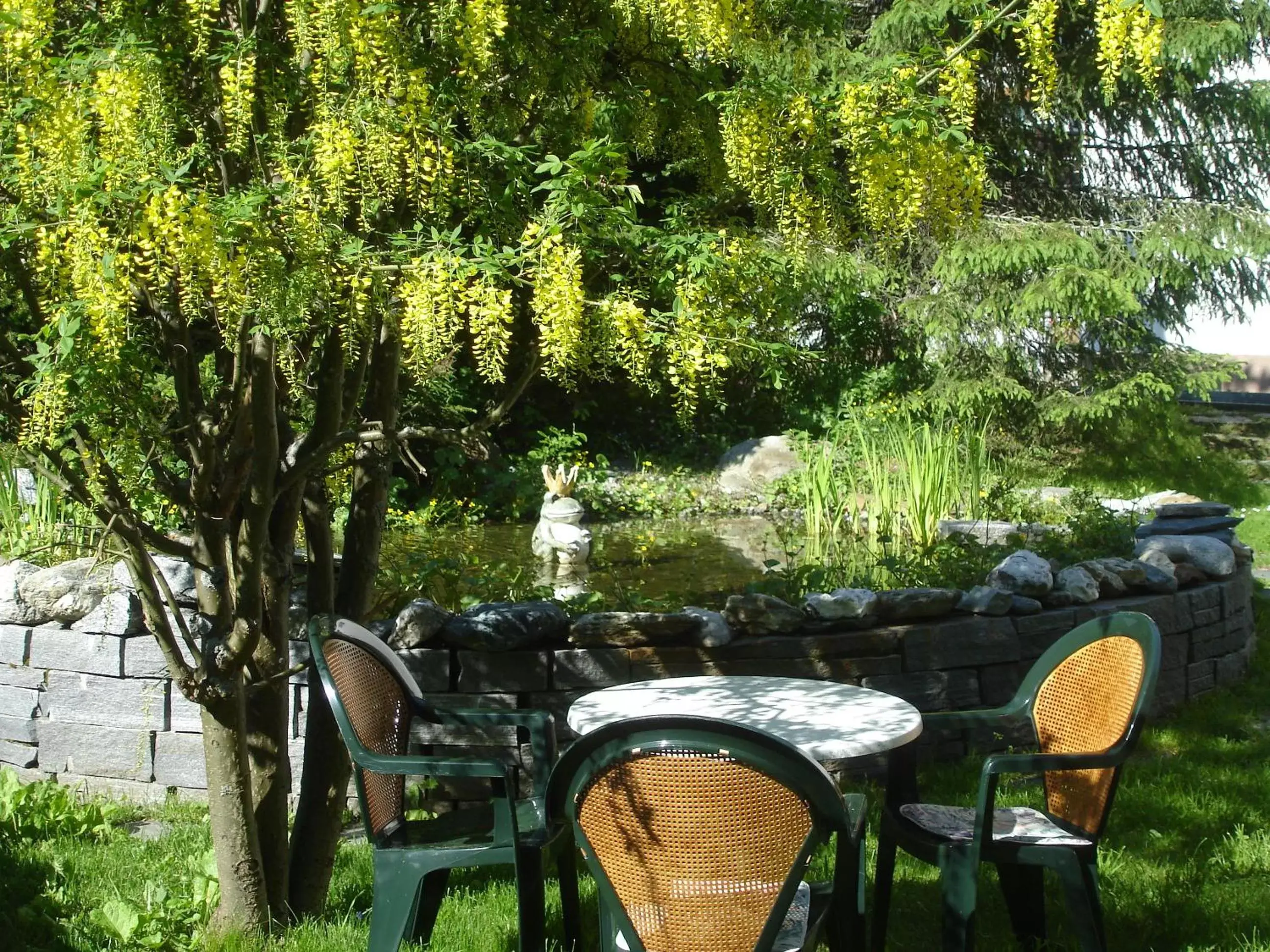 Garden in Ambiente Guesthouse