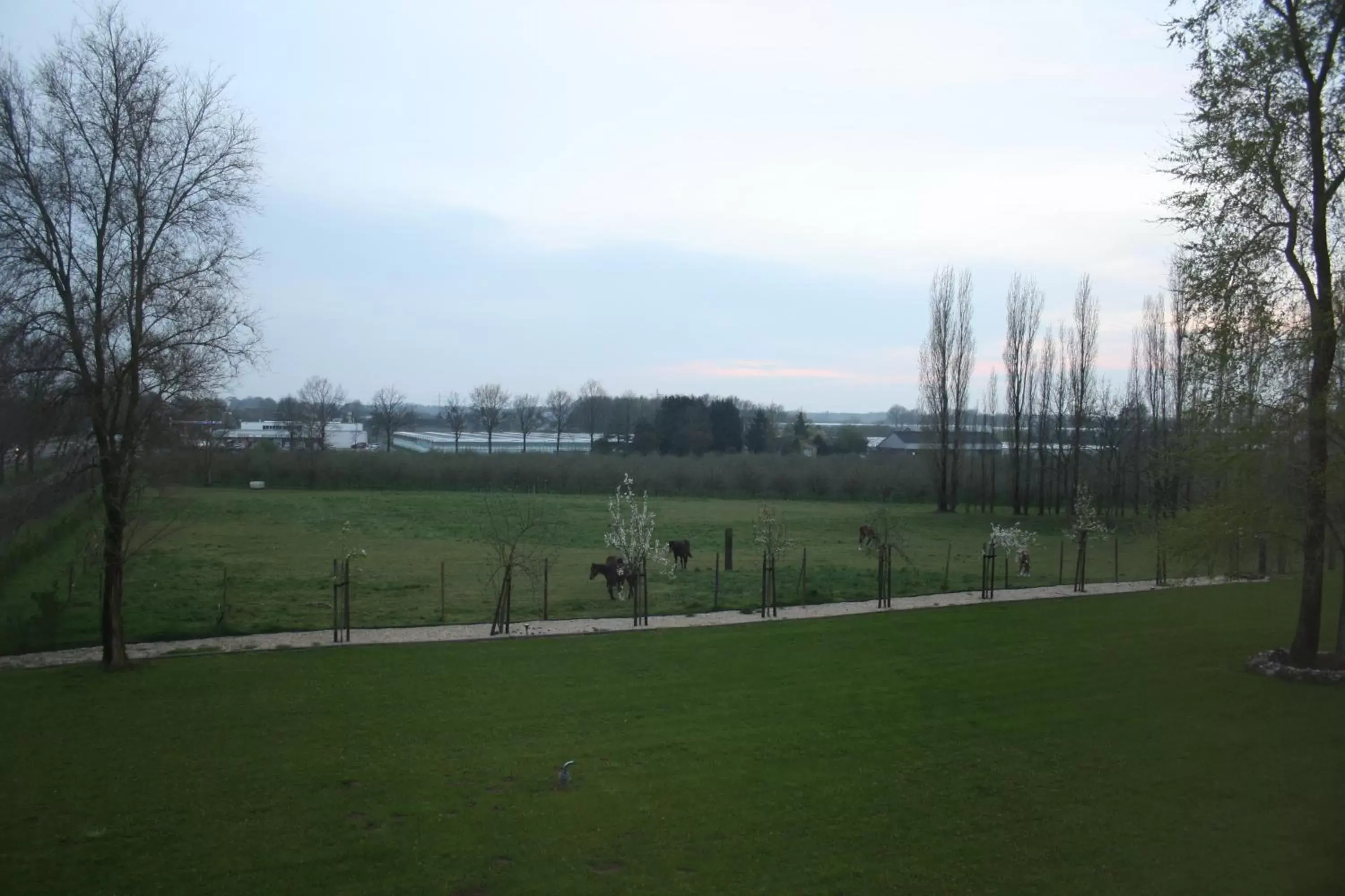 View (from property/room) in B&B Johannes-Hoeve