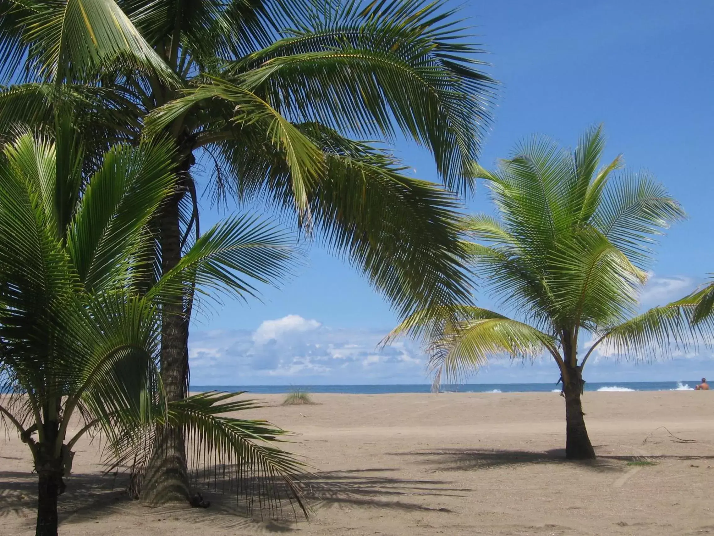 Off site, Beach in Hotel Pochote Grande