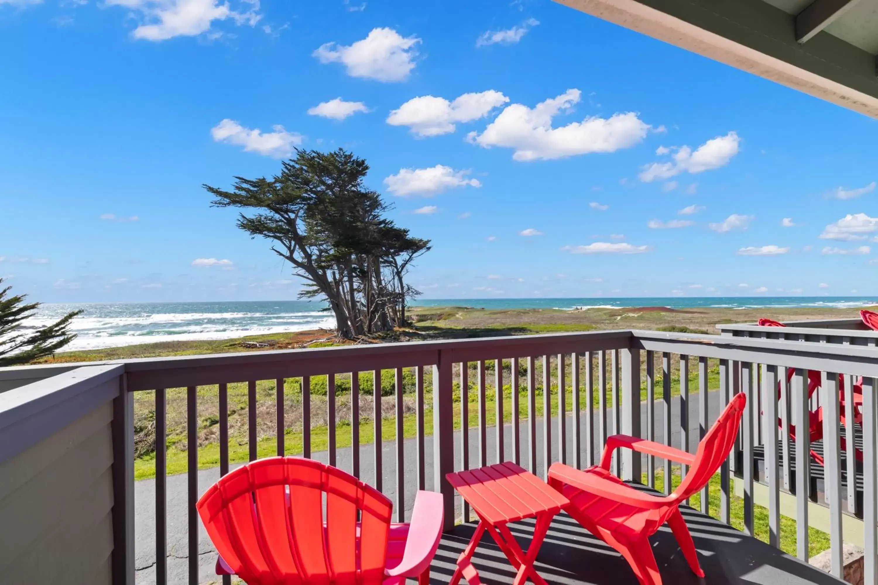 Patio, Balcony/Terrace in Beachcomber Motel