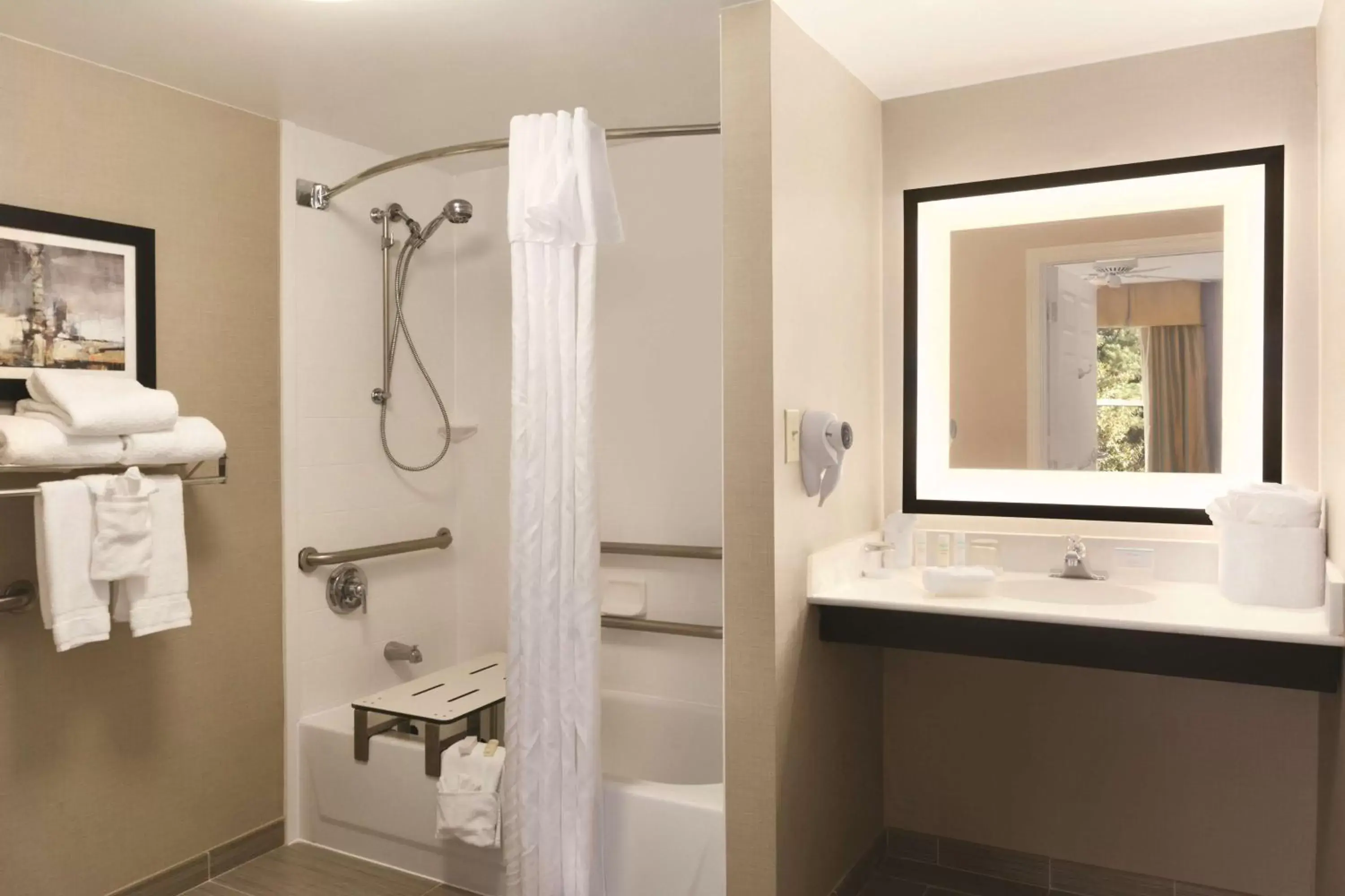 Bathroom in Homewood Suites by Hilton Atlanta-Alpharetta