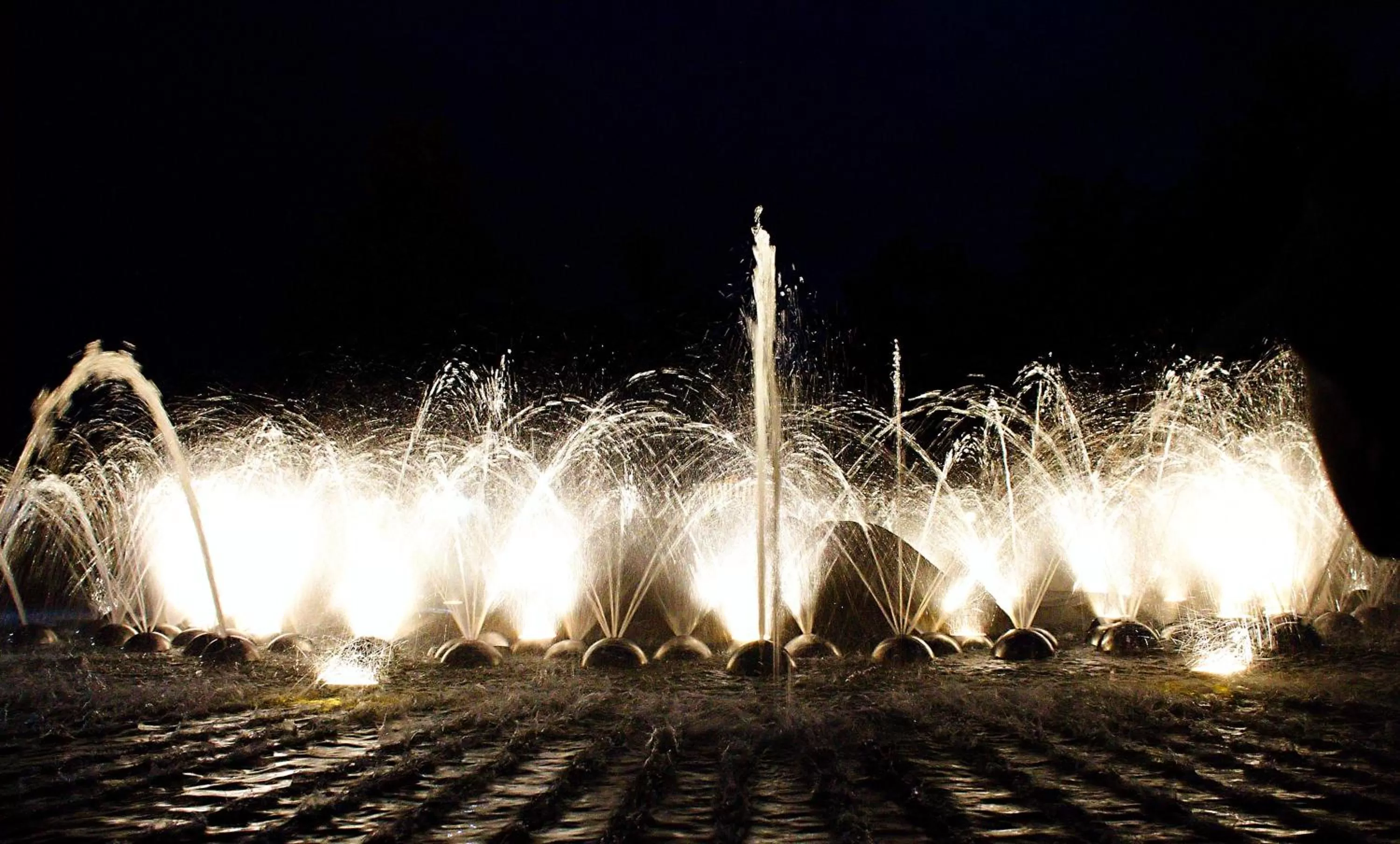 Other in Villa Patriot Boutique Hotel