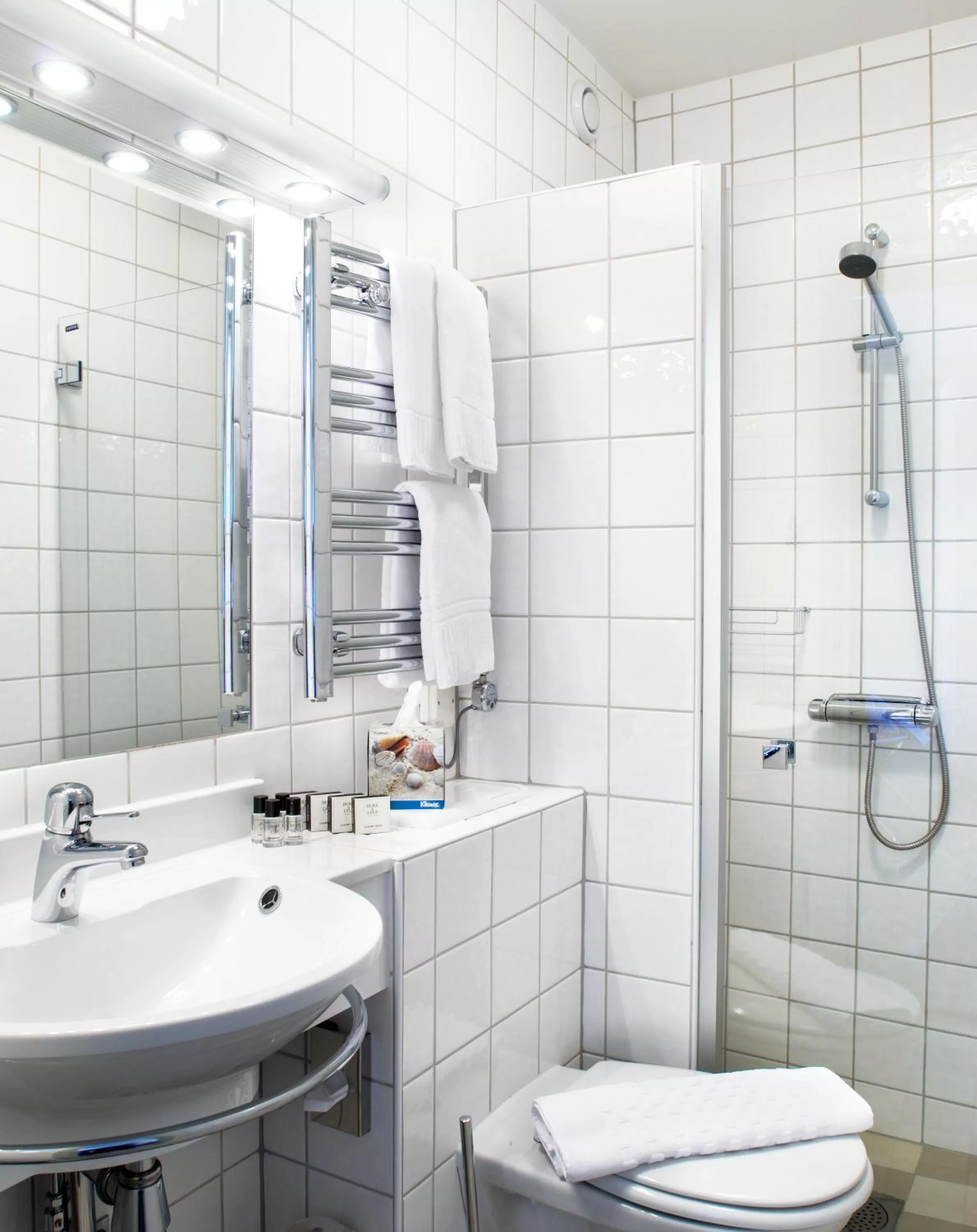 Bathroom in Hotel Royal