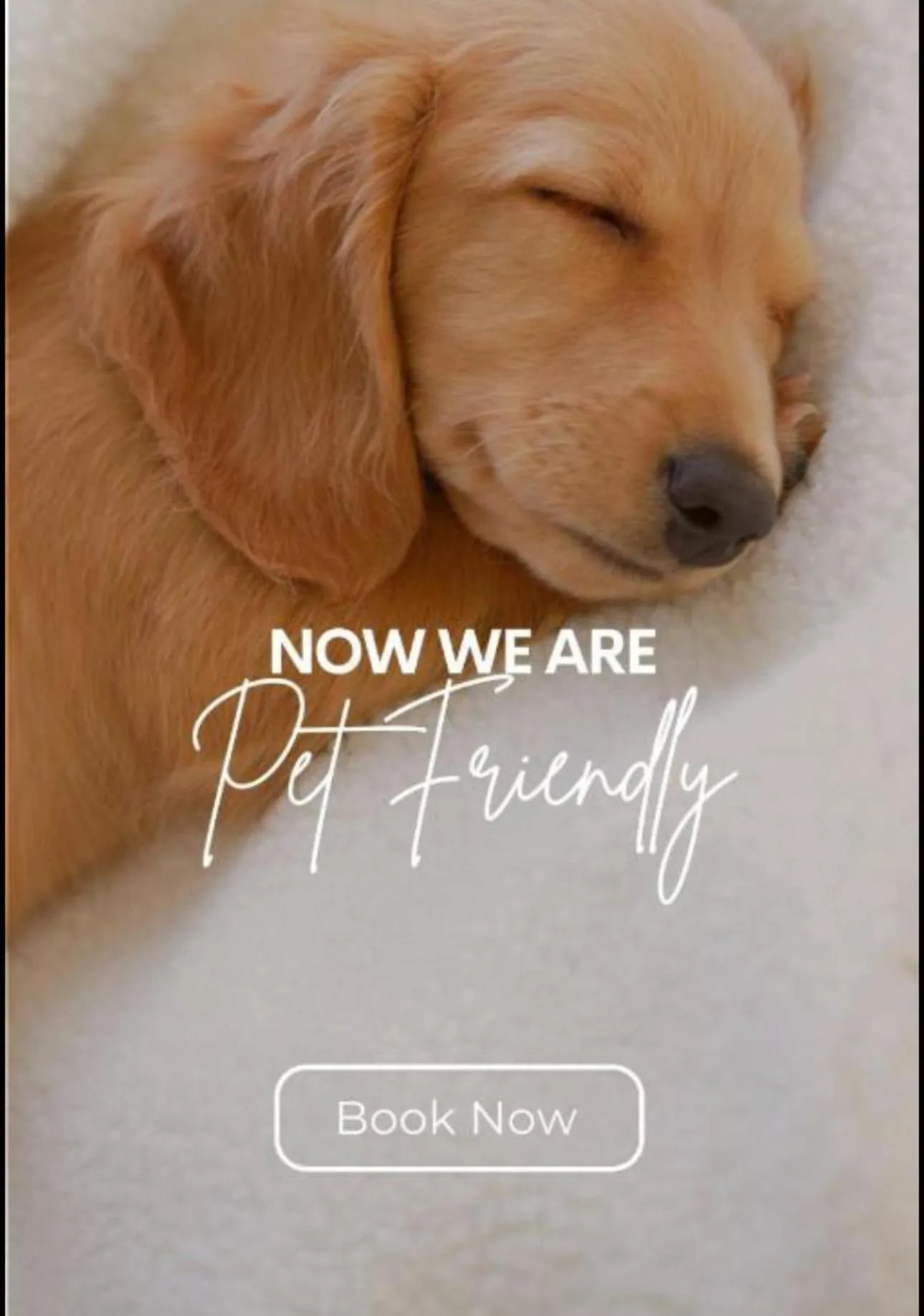 Suburban Studios Brunswick I-95