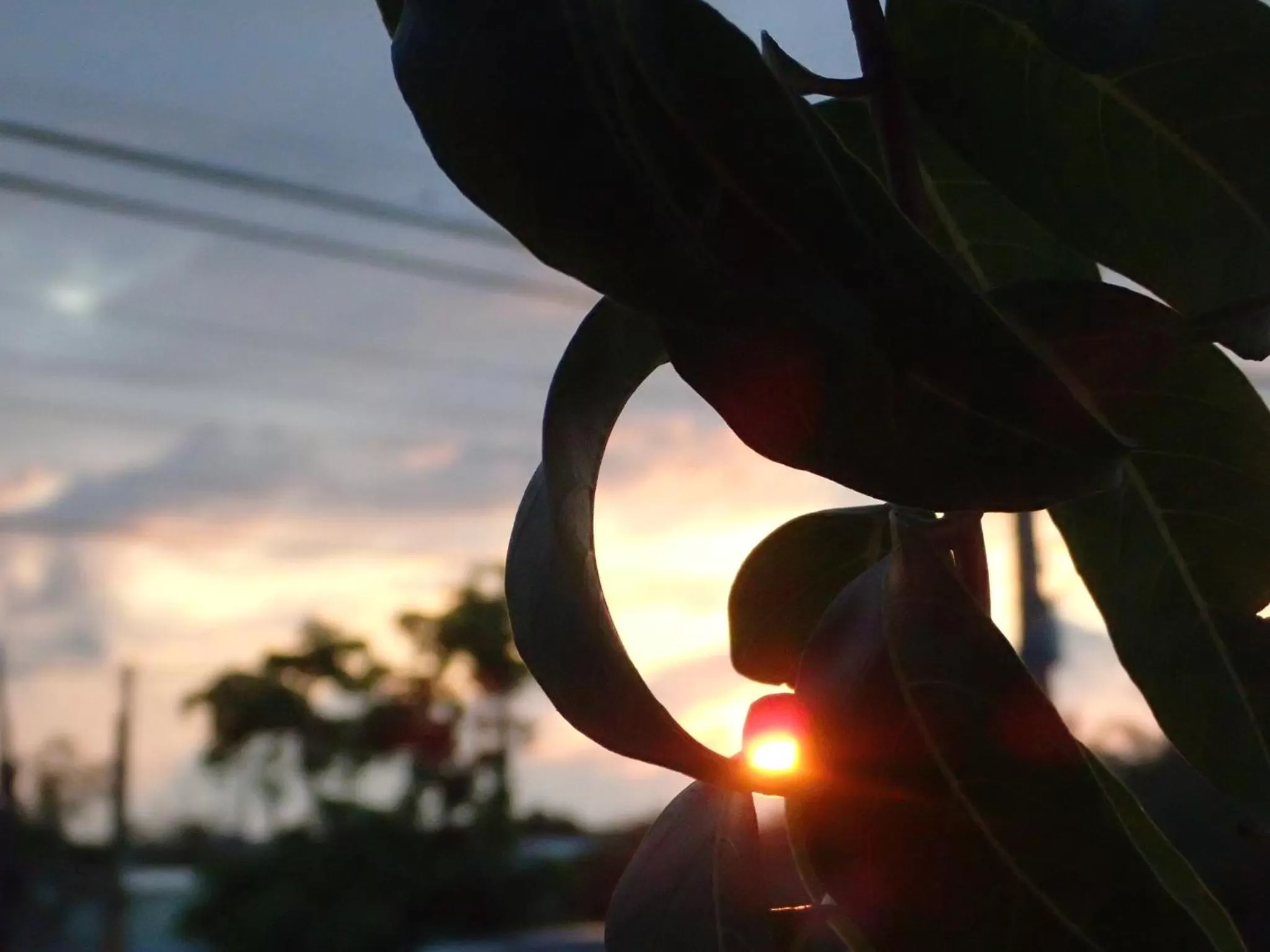 Garden view in Chillax Inn B&B 恆春鬆塊民宿