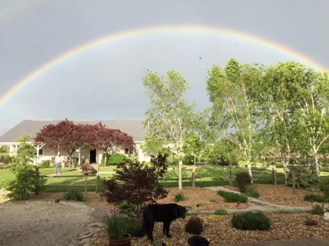 View (from property/room), Garden in Wenzler's Landing B&B