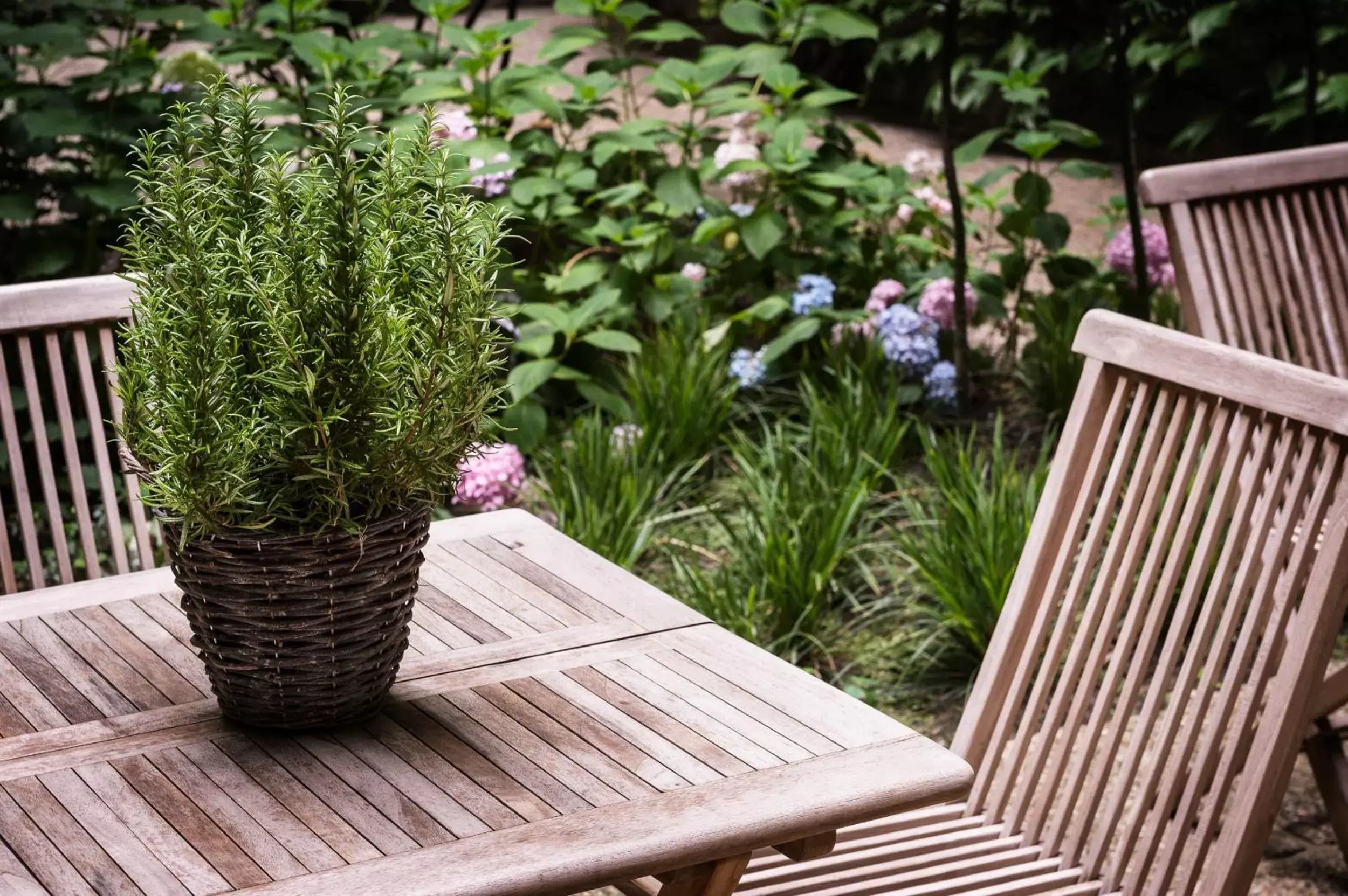 Garden in Hotel Kunsthof