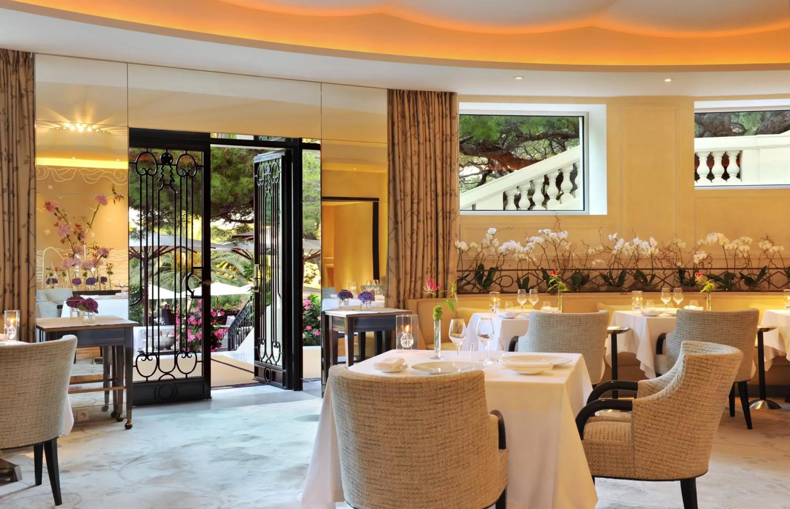 Restaurant/Places to Eat in Grand-Hôtel du Cap-Ferrat, A Four Seasons Hotel
