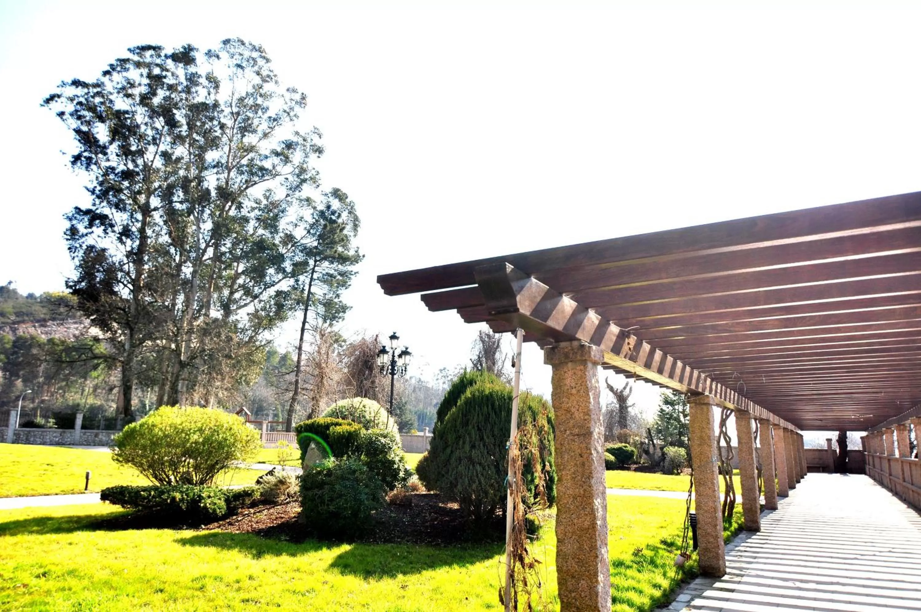 Garden in Hotel Scala