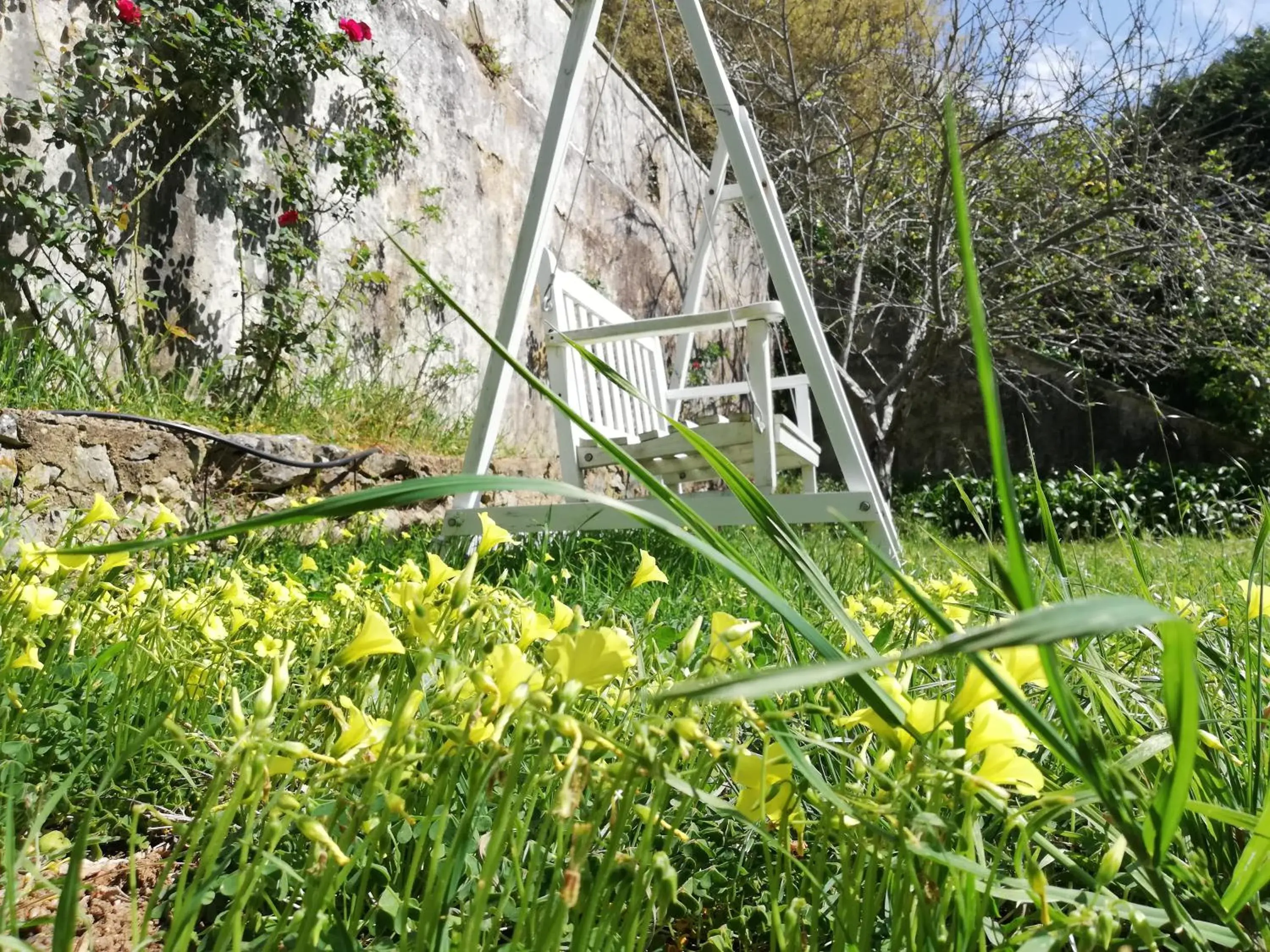 Garden in Casa Holstein Quinta de Sao Sebastiao Sintra