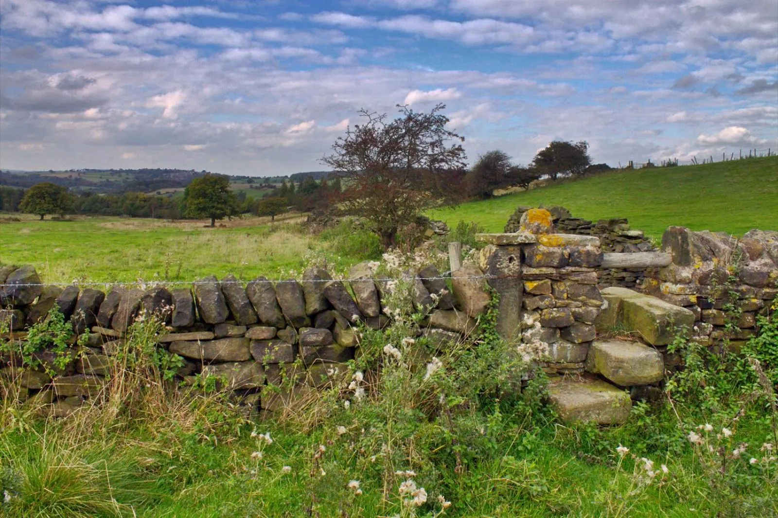 Natural landscape in Wortley Cottage Guest House