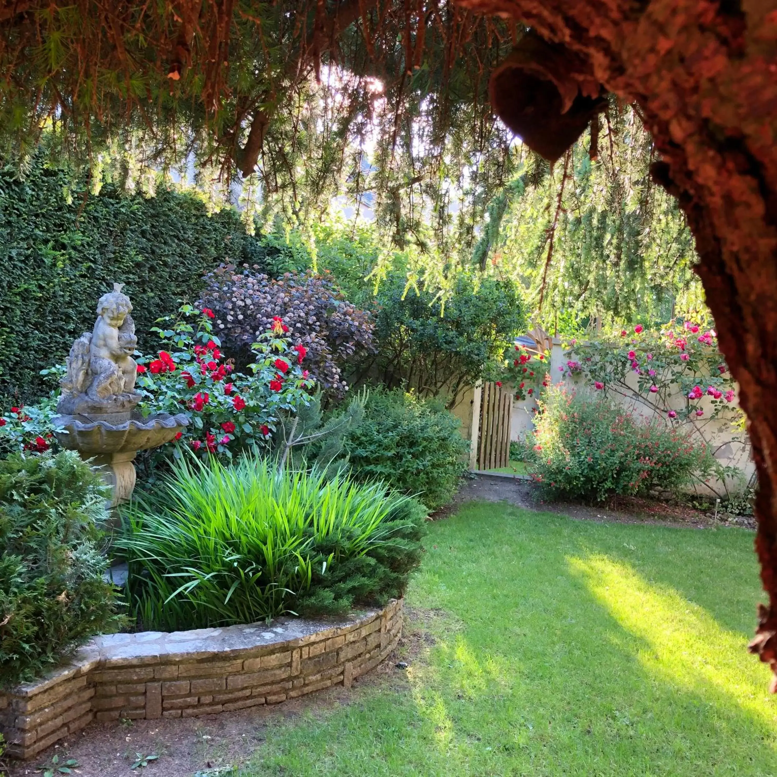 Garden in Hotel Des Cedres