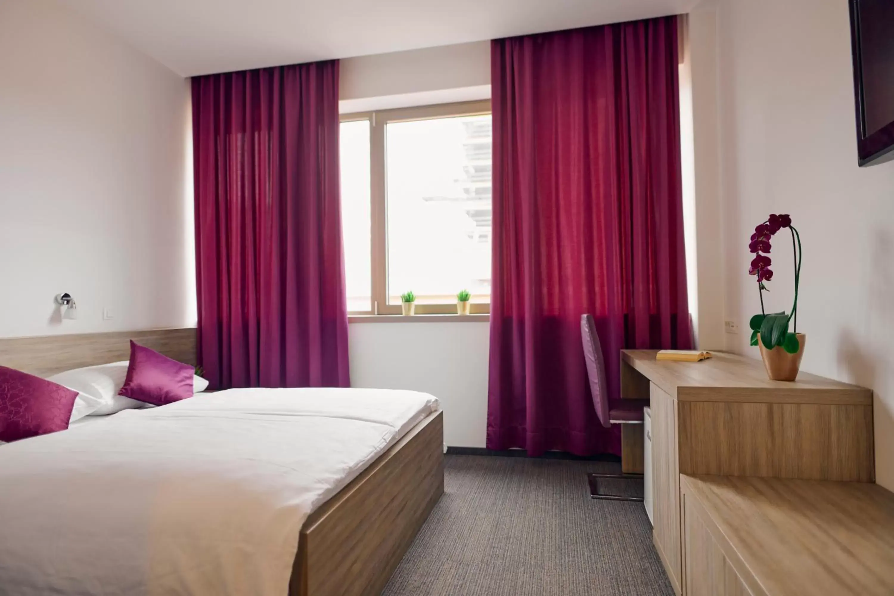 Comfort Double or Twin Room - single occupancy in Hotel Meksiko Comfort Double or Twin Room - single occupancy in Hotel Meksiko