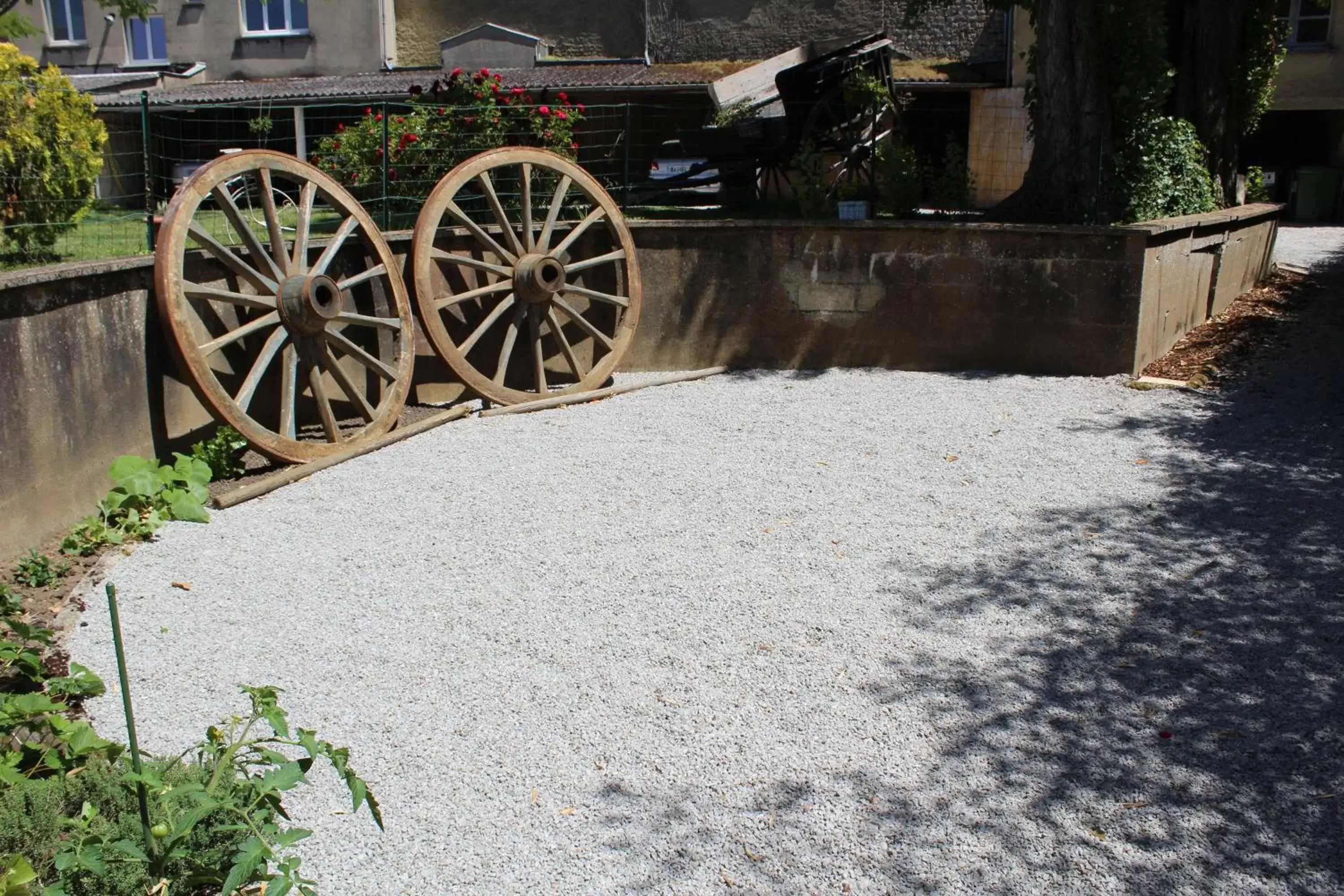 Garden in Hotel des Ducs