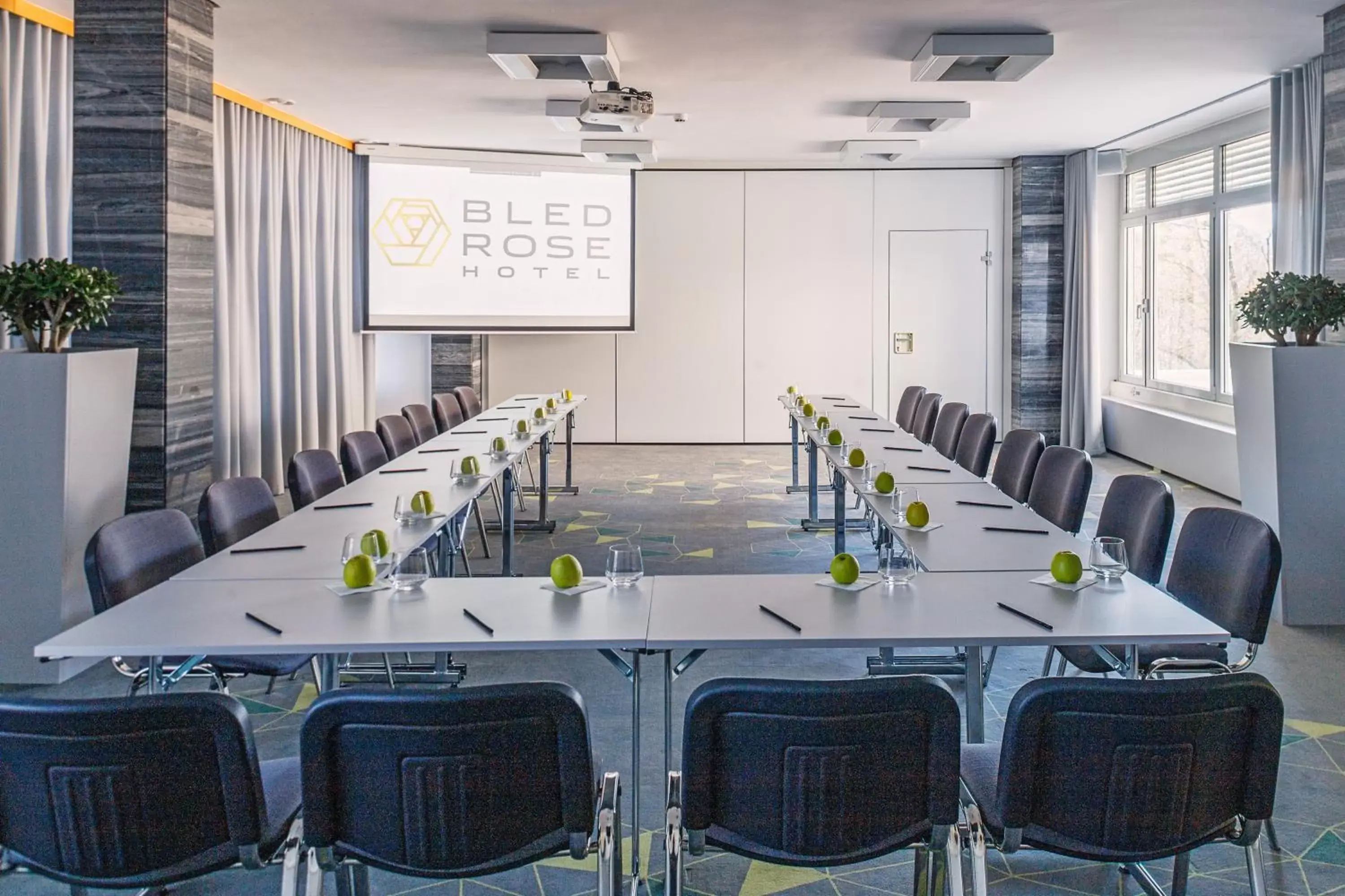 Business facilities in Bled Rose Hotel